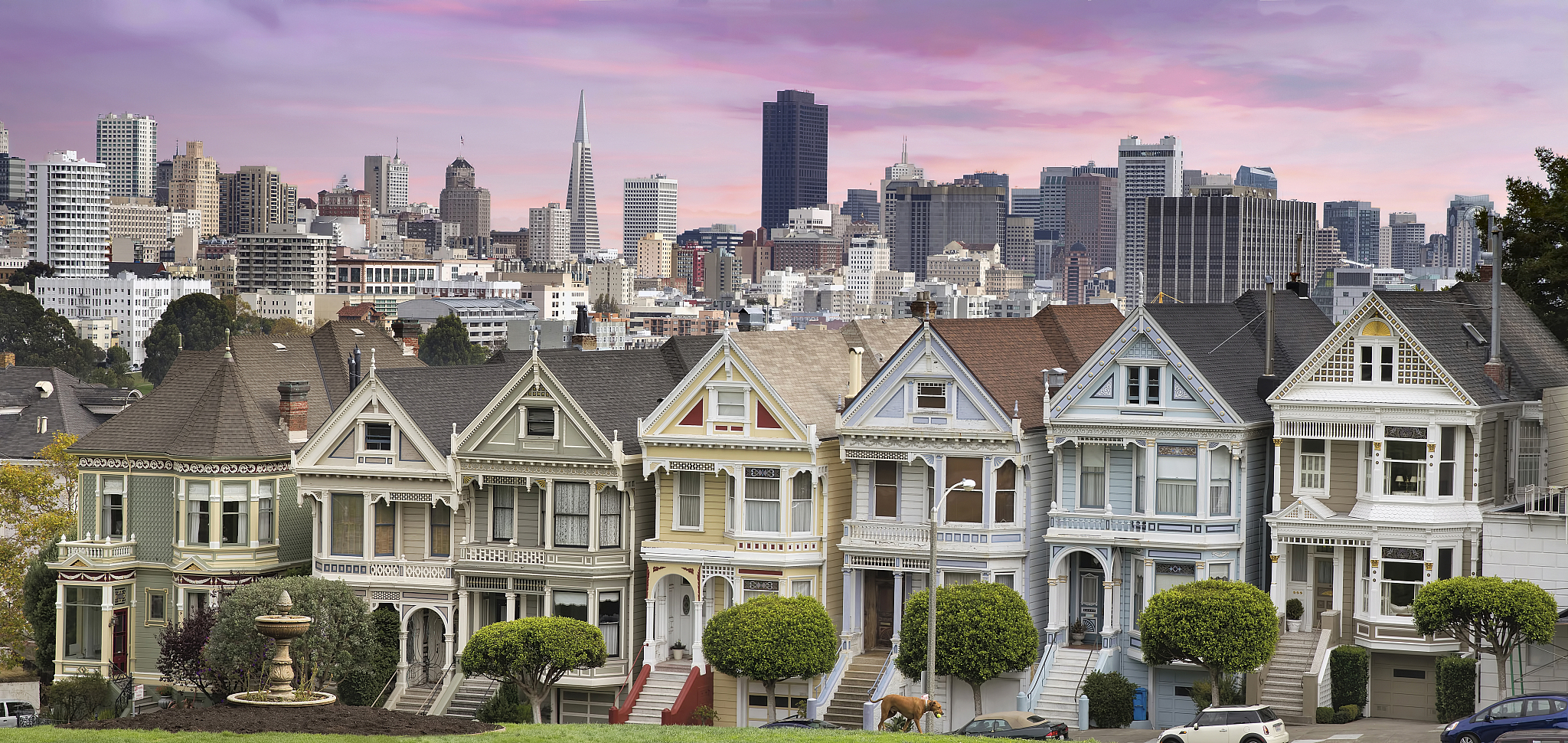 san franciso skyline and the painted ladies