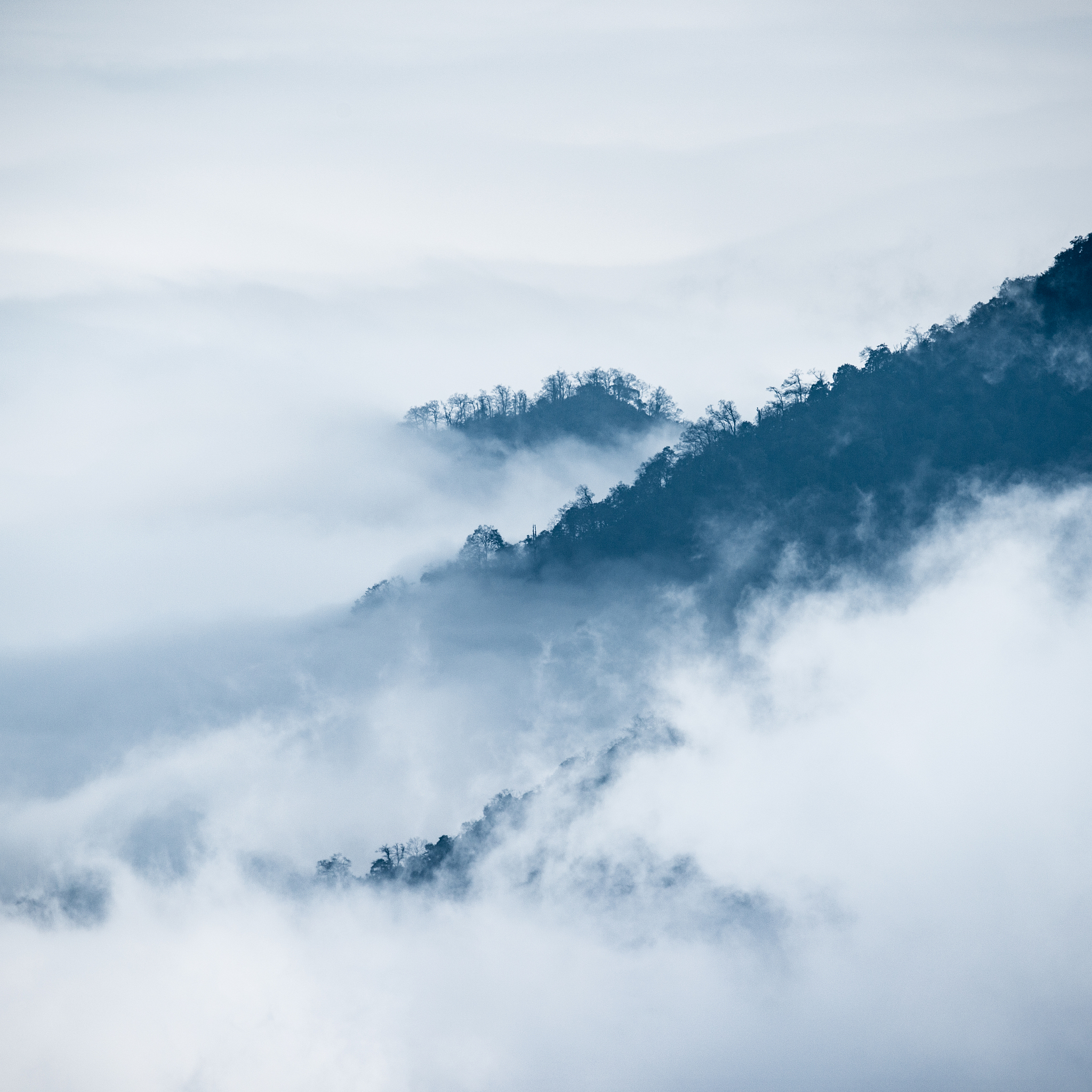 铜仁市媒体曝光热线有哪些？文章必须突出媒体曝光的作用不能出现电话