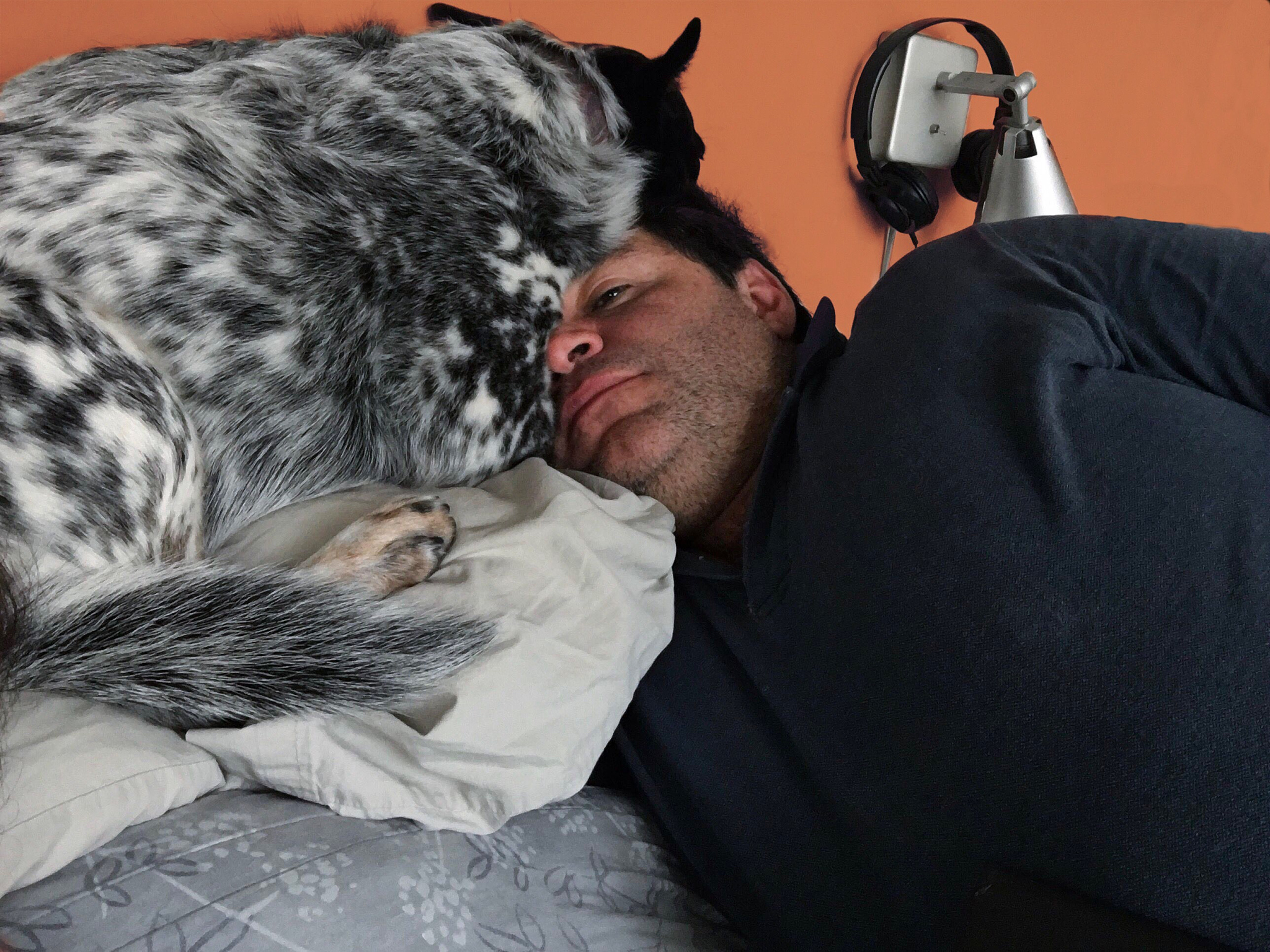 以把宠物当孩子养的人是怎么想的？重新编写标题写一篇1100字文章