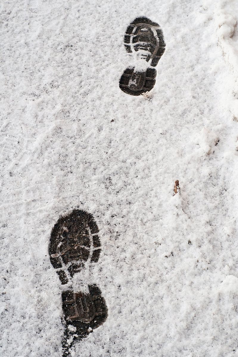 长着长指甲的爪子走过雪地留下的脚印是什么样的？