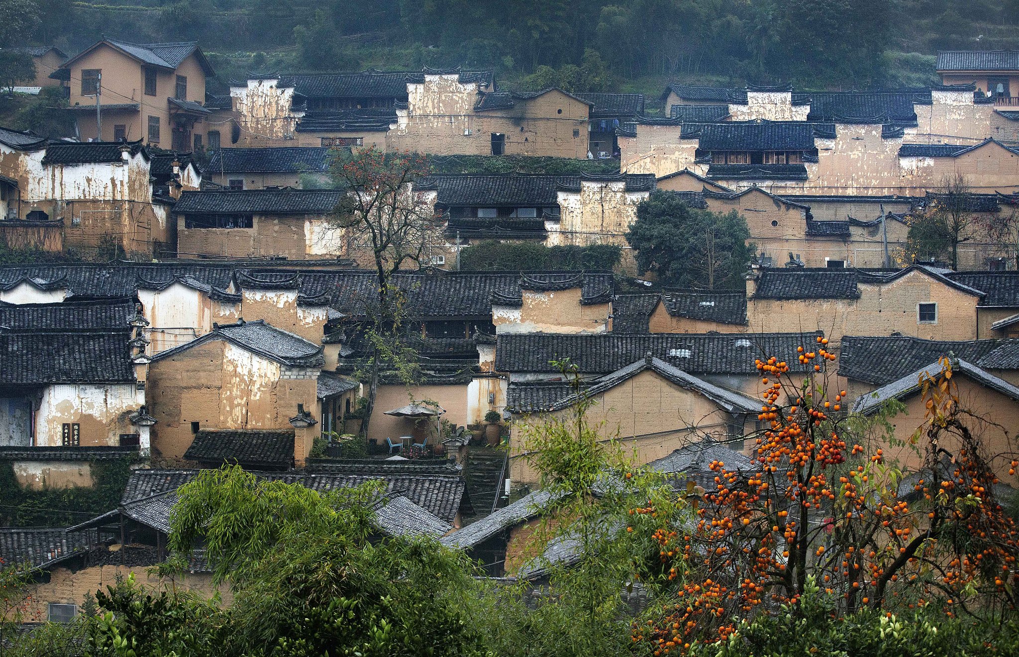 重庆江南职业学校2022年招生简章-专业选择丰富