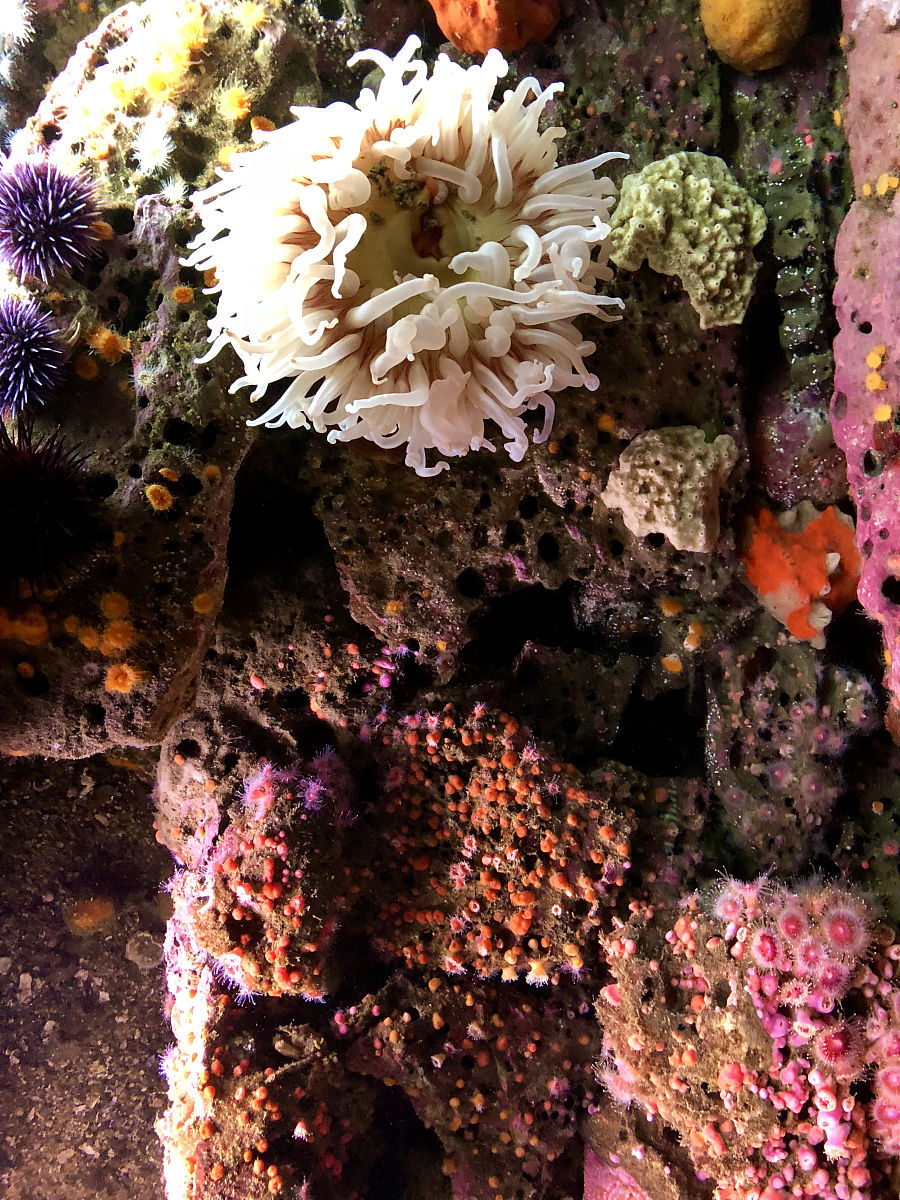 湖南生物机电职业技术学院水产养殖技术专业涉及哪些课程