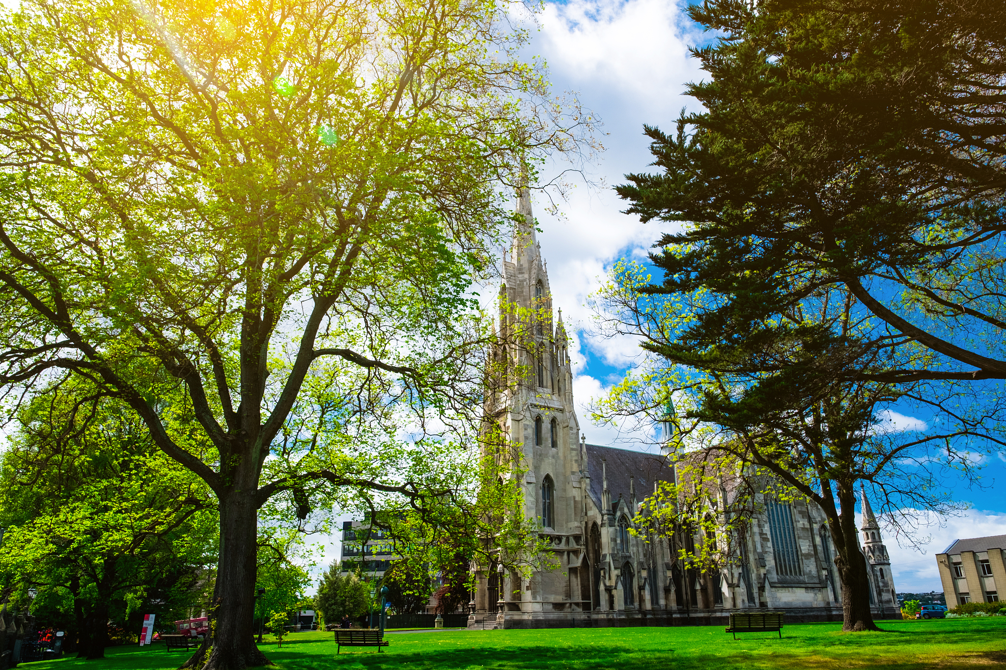 st joseph's cathedral, dunedin, new zealand.