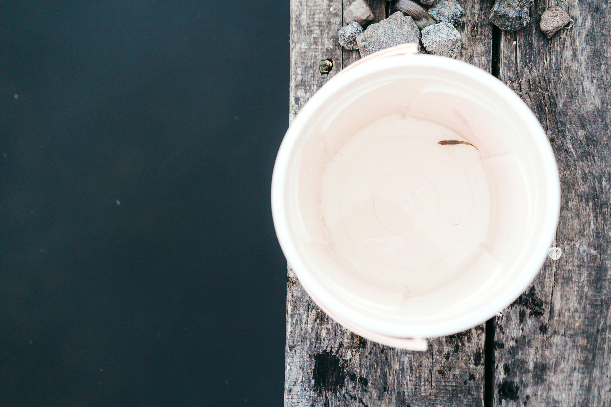 集美大学水产学院专业介绍：水产养殖、加工、生态等