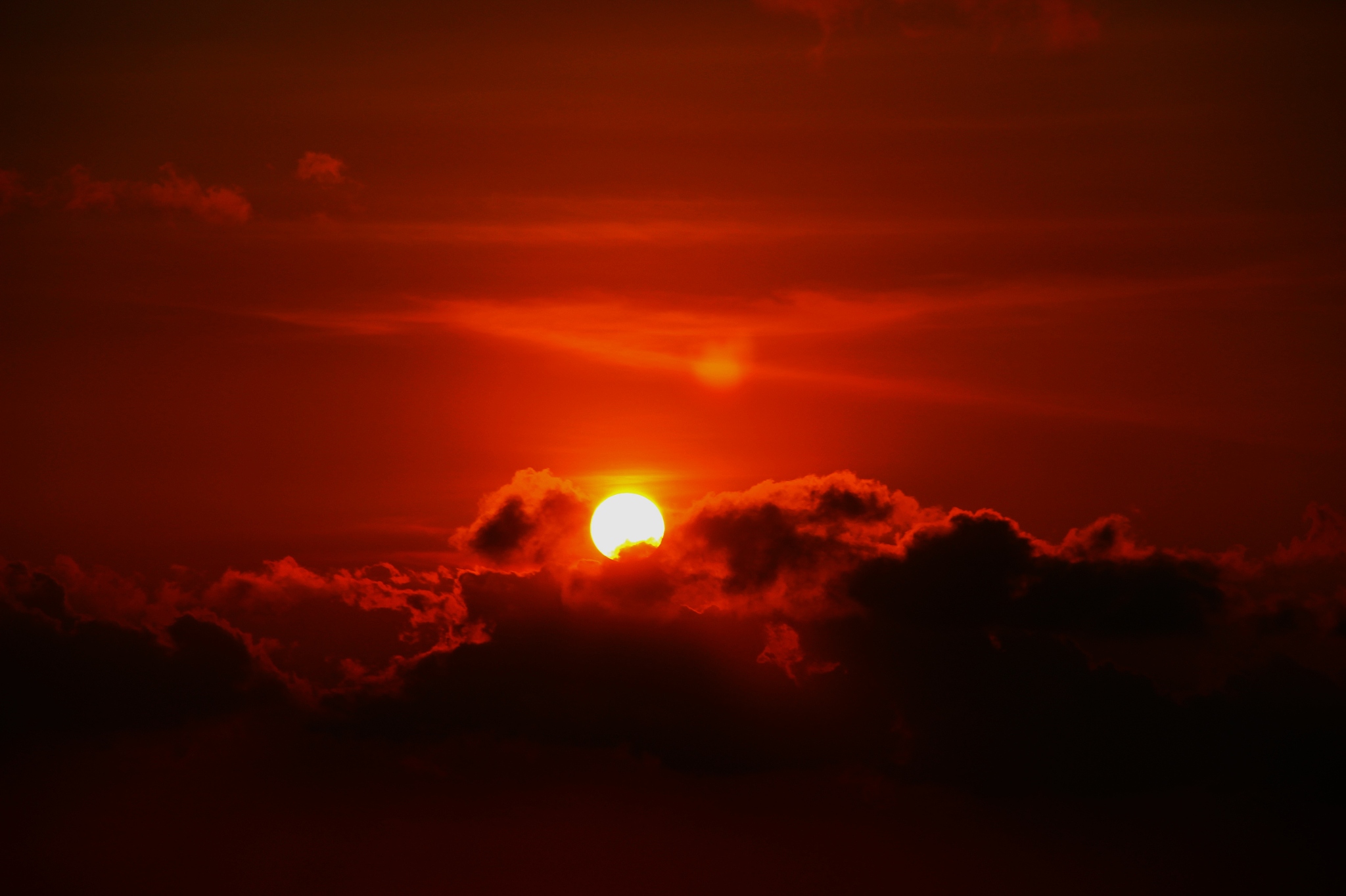 红日东升是什么意思_词语红日东升的意思