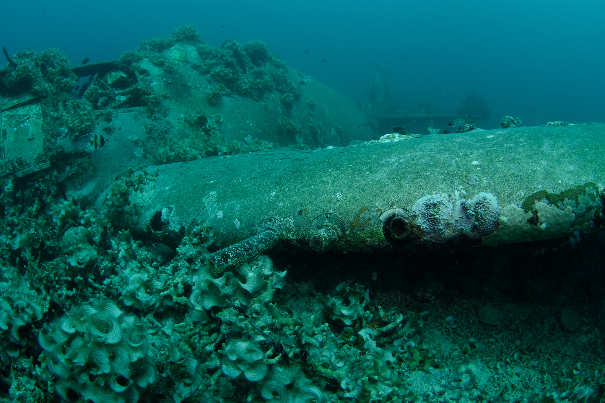american hellcat fighte plane wreck near gizo, western province,
