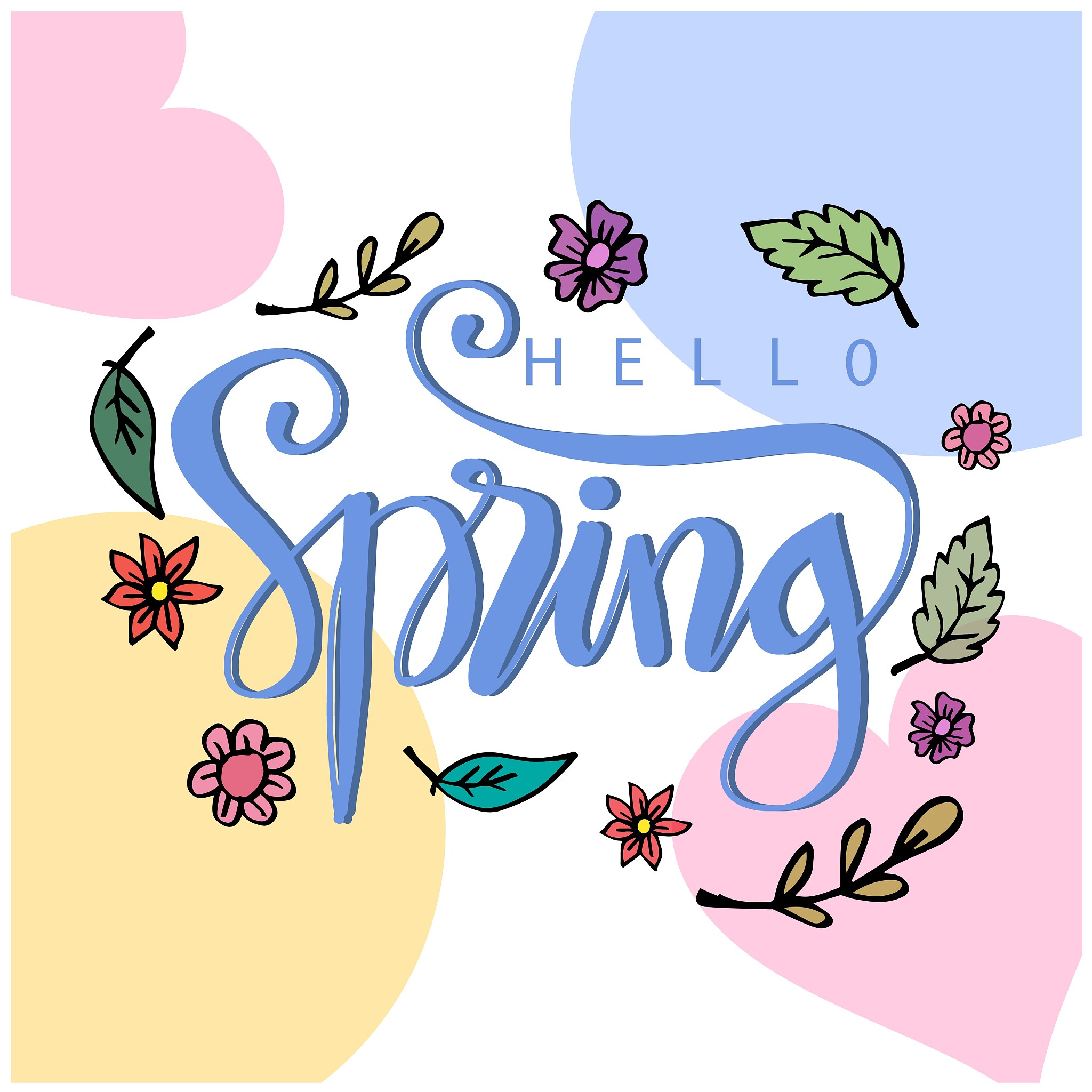 hello spring lettering. greeting card.