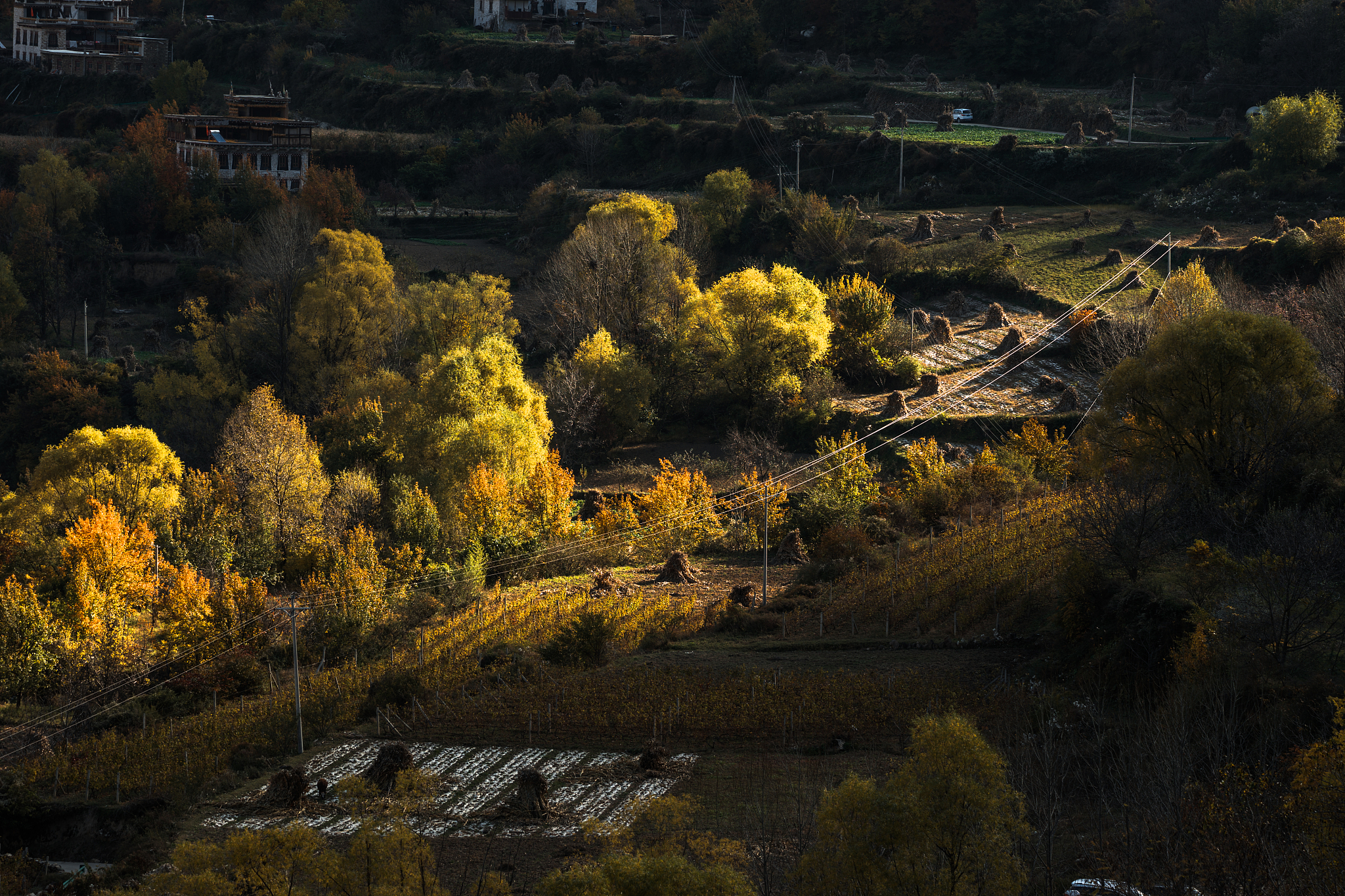 民族民居装饰专业人才培养目标与发展方向