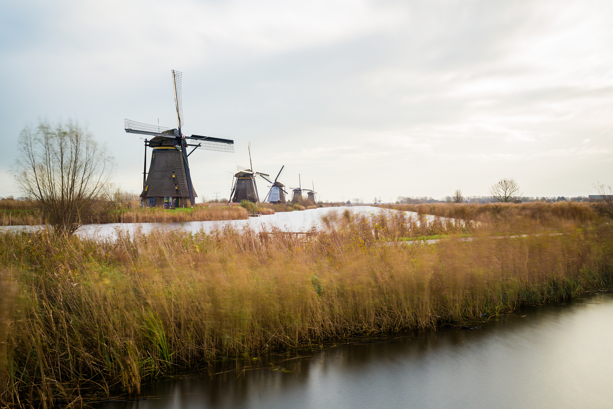 old windmills in kinderdijk at sunrise, holland, netherlands, eu