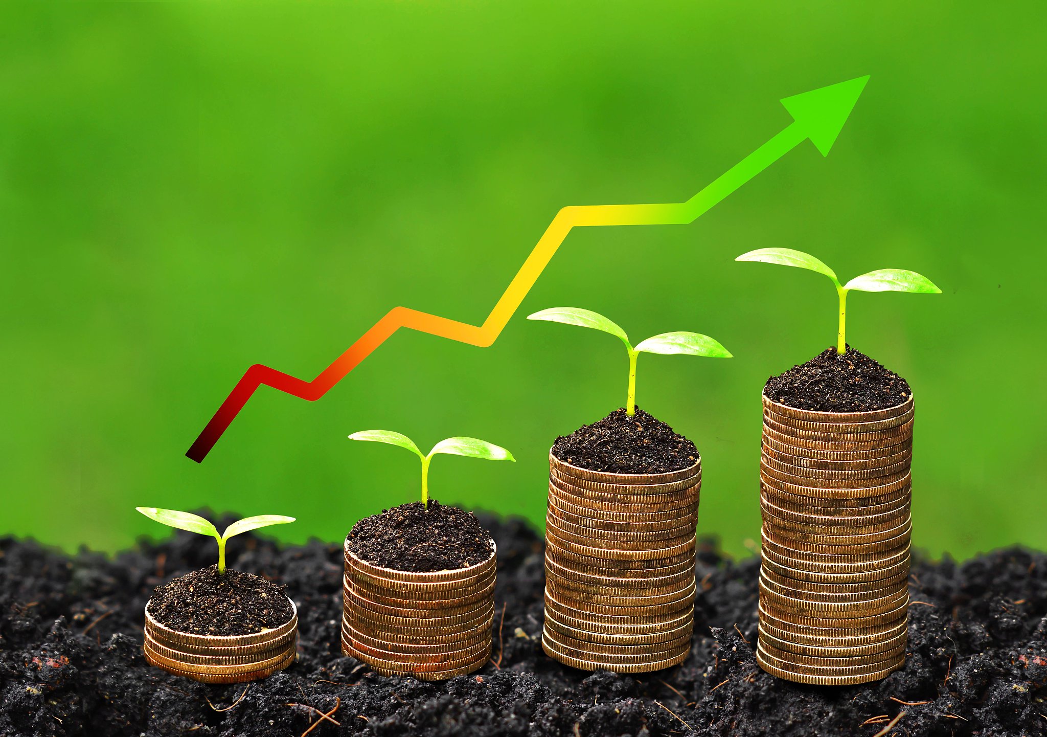 business growth with csr