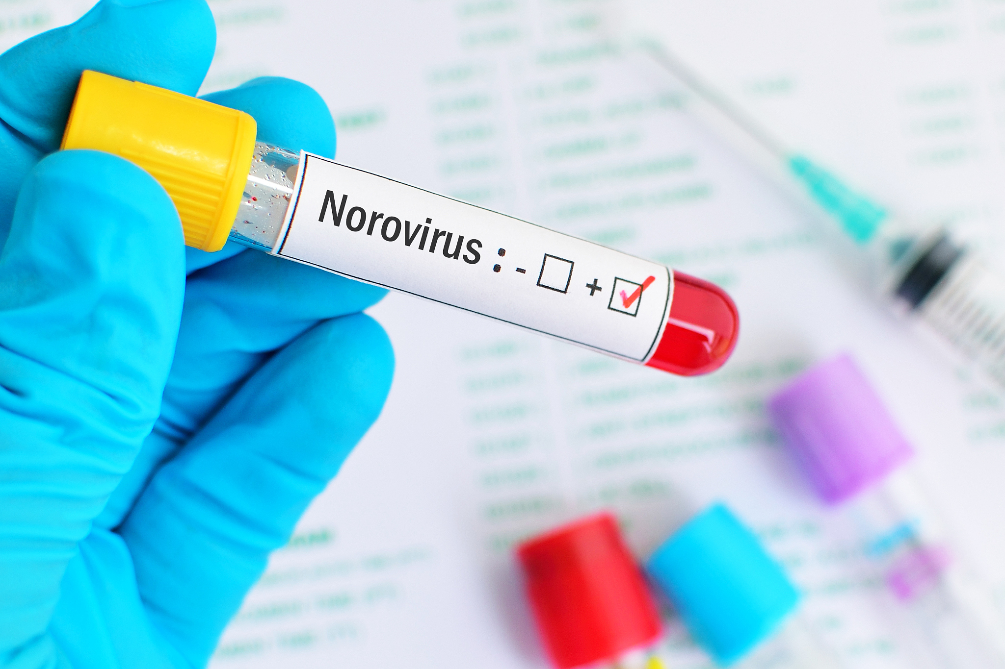 norovirus positive blood tube