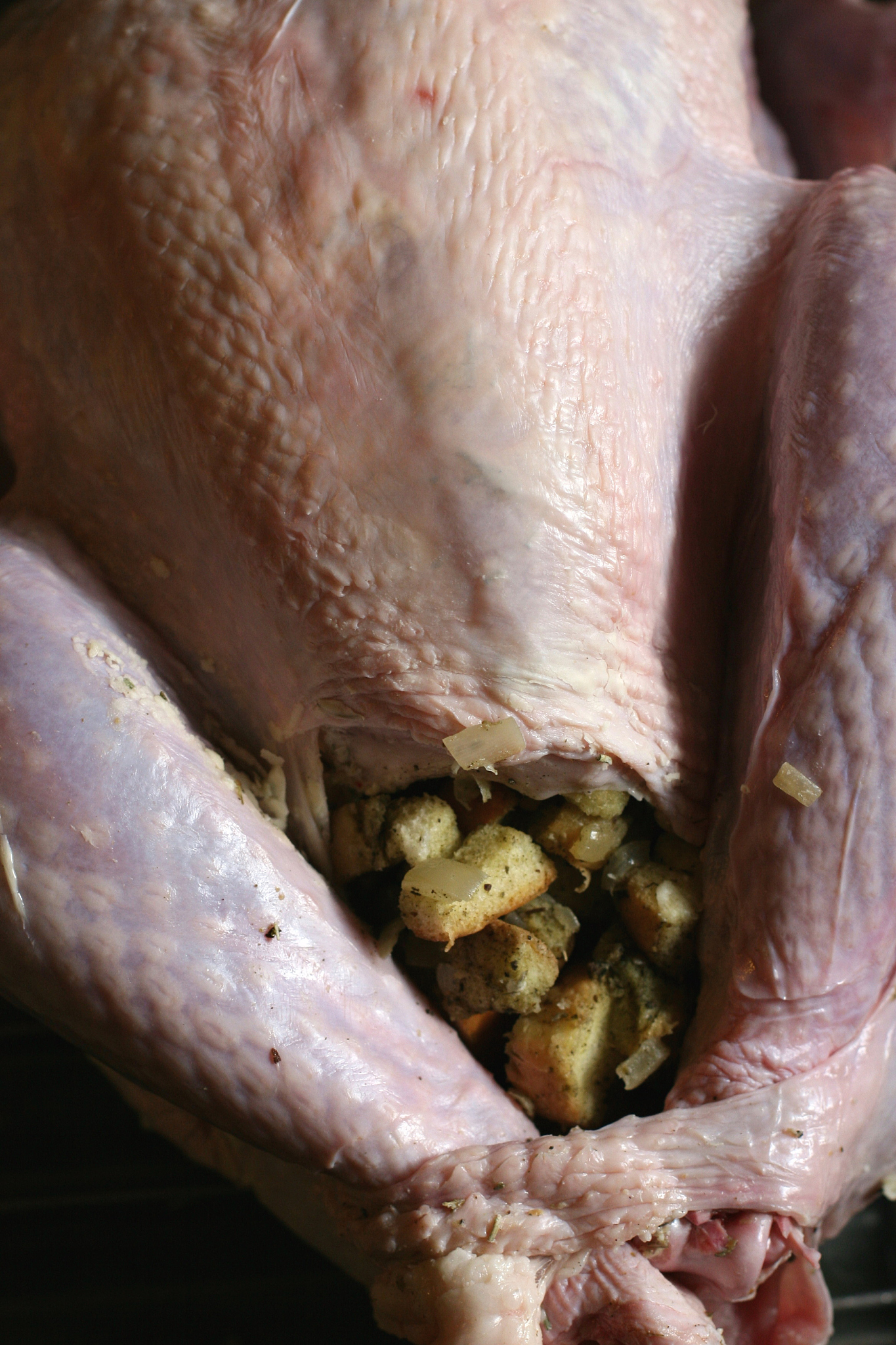 论述犊牛新蛔虫病的新蛔虫病论述中中不能抄袭他人原文不少于500字。