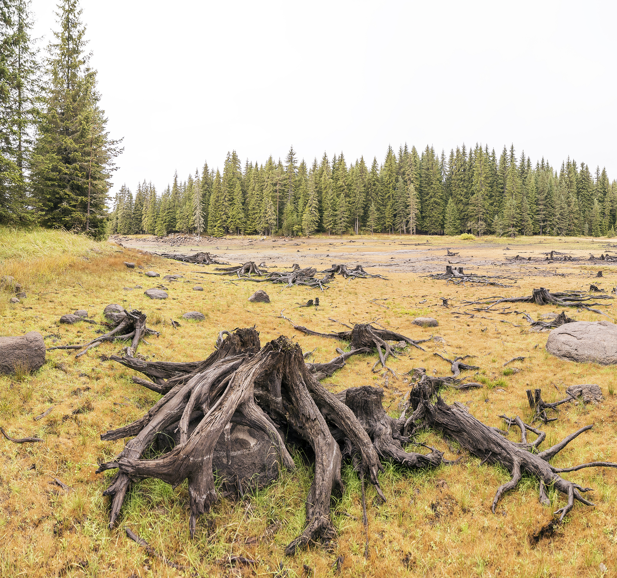 全球变暖背景下倒春寒发生日期及植物冻害风险研究