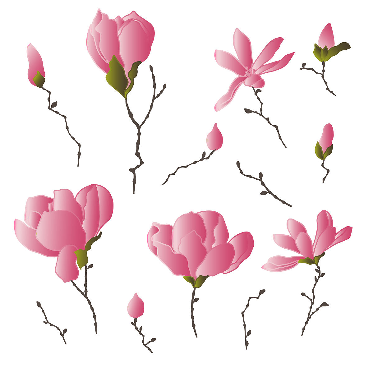 网上做的姓氏壁纸是真的帮我用200字详细描述