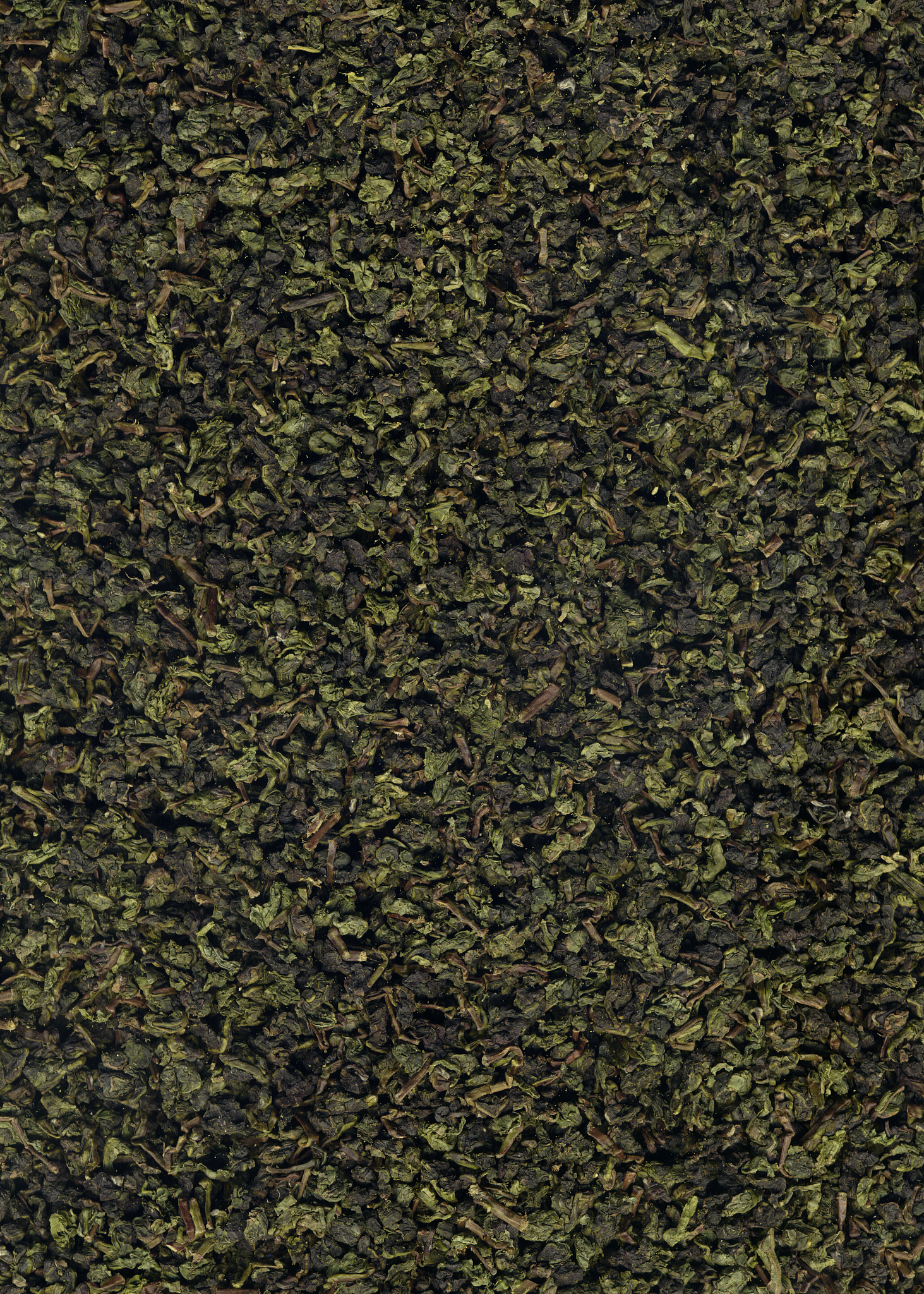 oolong (xxl)