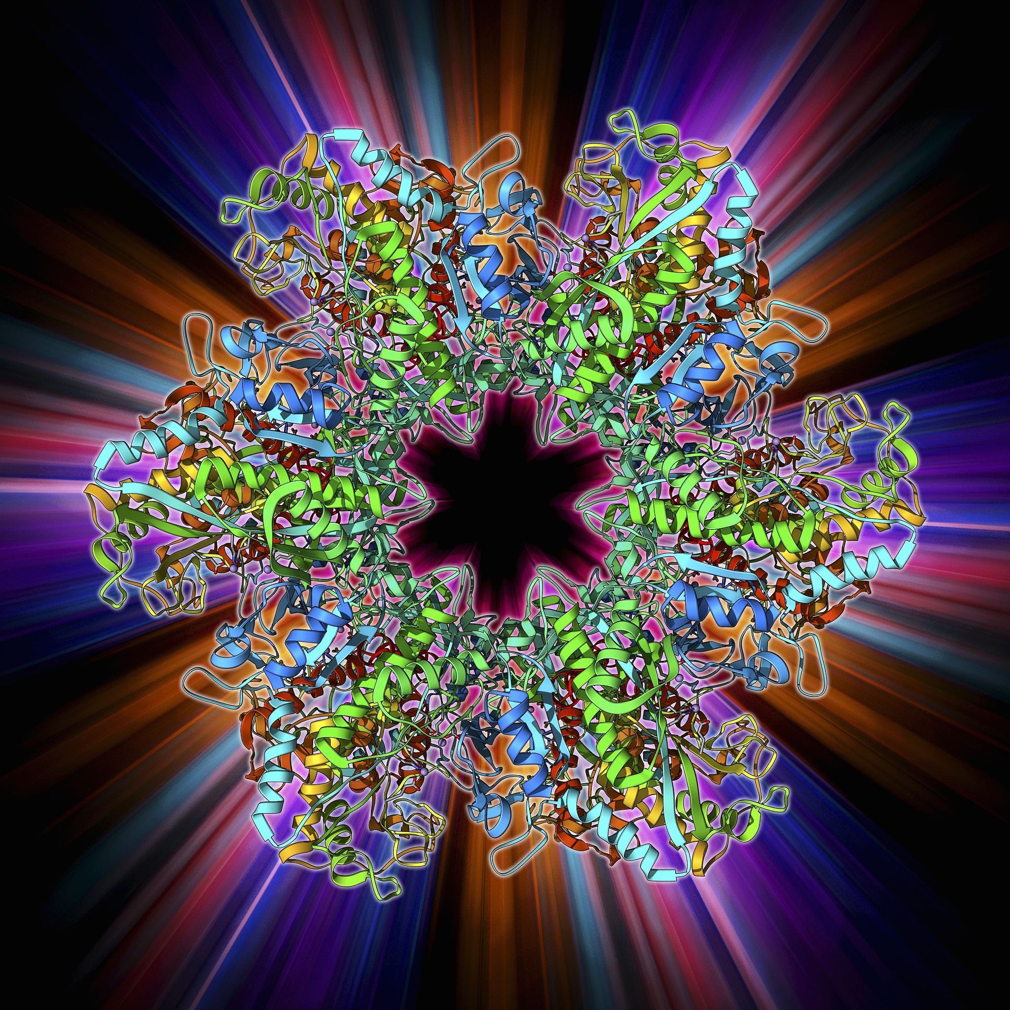 翻译：苹果是全球重要的水果之一树龄偏高造成的树势衰弱严重影响苹果产量和品质。ACC脱氨酶是参与乙烯代谢的重要酶为了明确苹果根内具ACC脱氨酶和解磷功能内生细菌的生物学效应本研究采用从苹果树根中筛选鉴定具ACC脱氨酶和解磷活性高的假单胞菌菌株室内发酵后施用于树龄16年苹果树田间试验研究其对对苹果产量、品质的影响及对土壤的生态效应和苹果根系内生细菌群落结构的影响试验结果如下：经形态学鉴定和基于16Sr