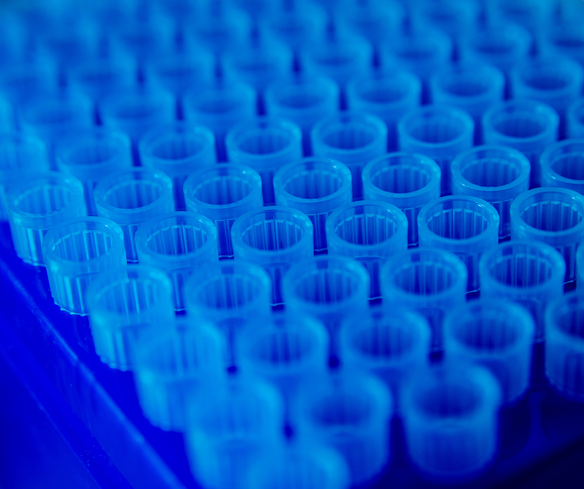 聚二甲基硅氧烷 (PDMS) 薄膜：应用、制备和特性