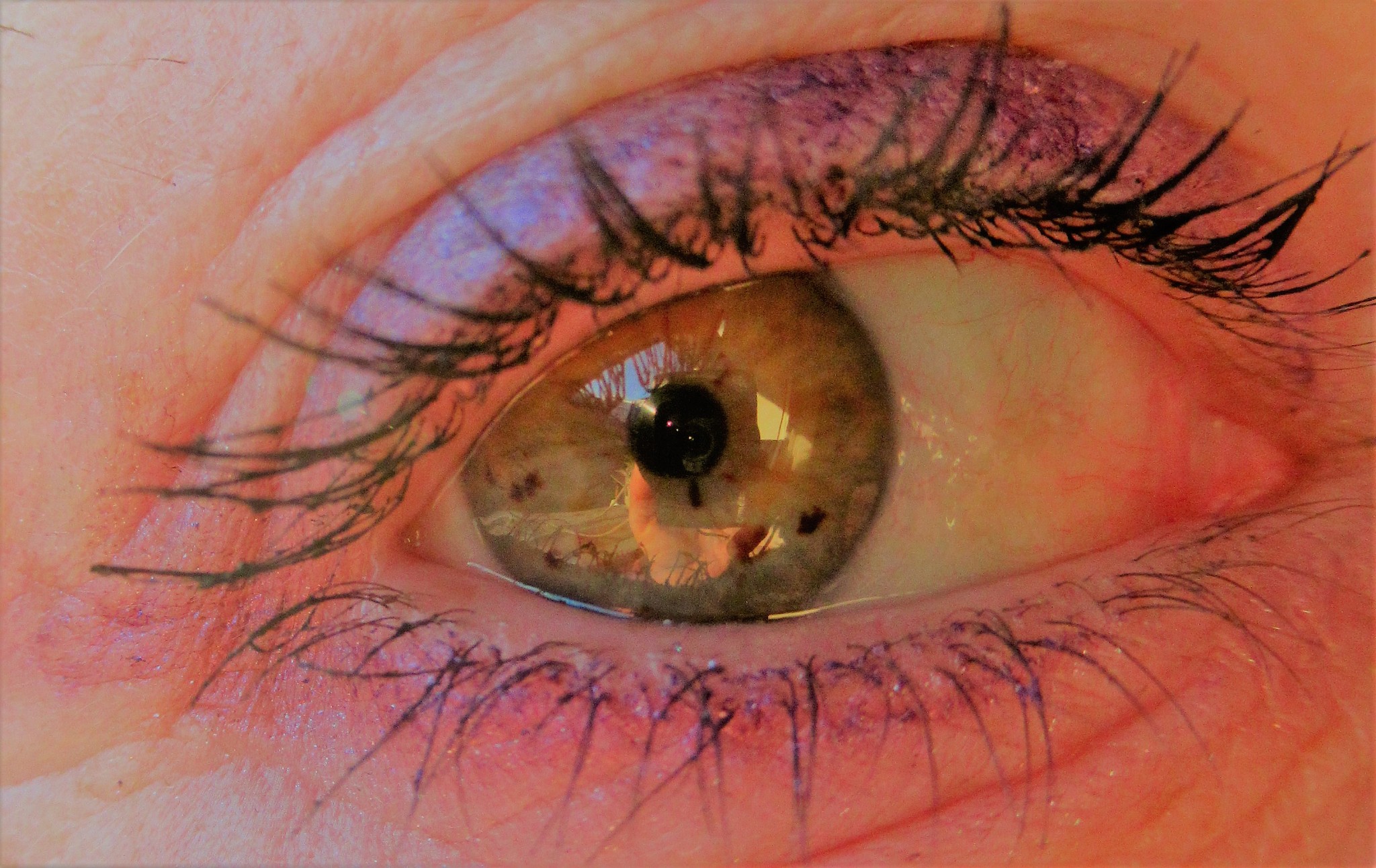 close-up of human eye