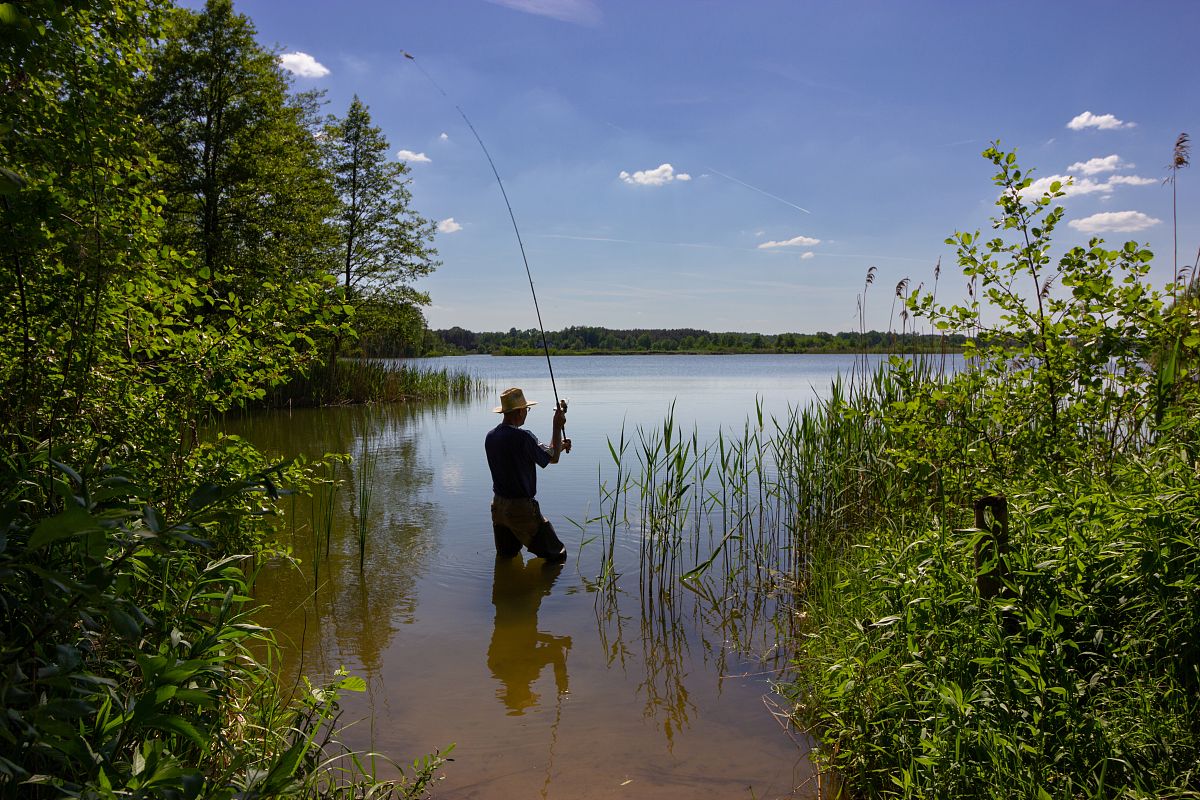 关于钓鱼的800字作文