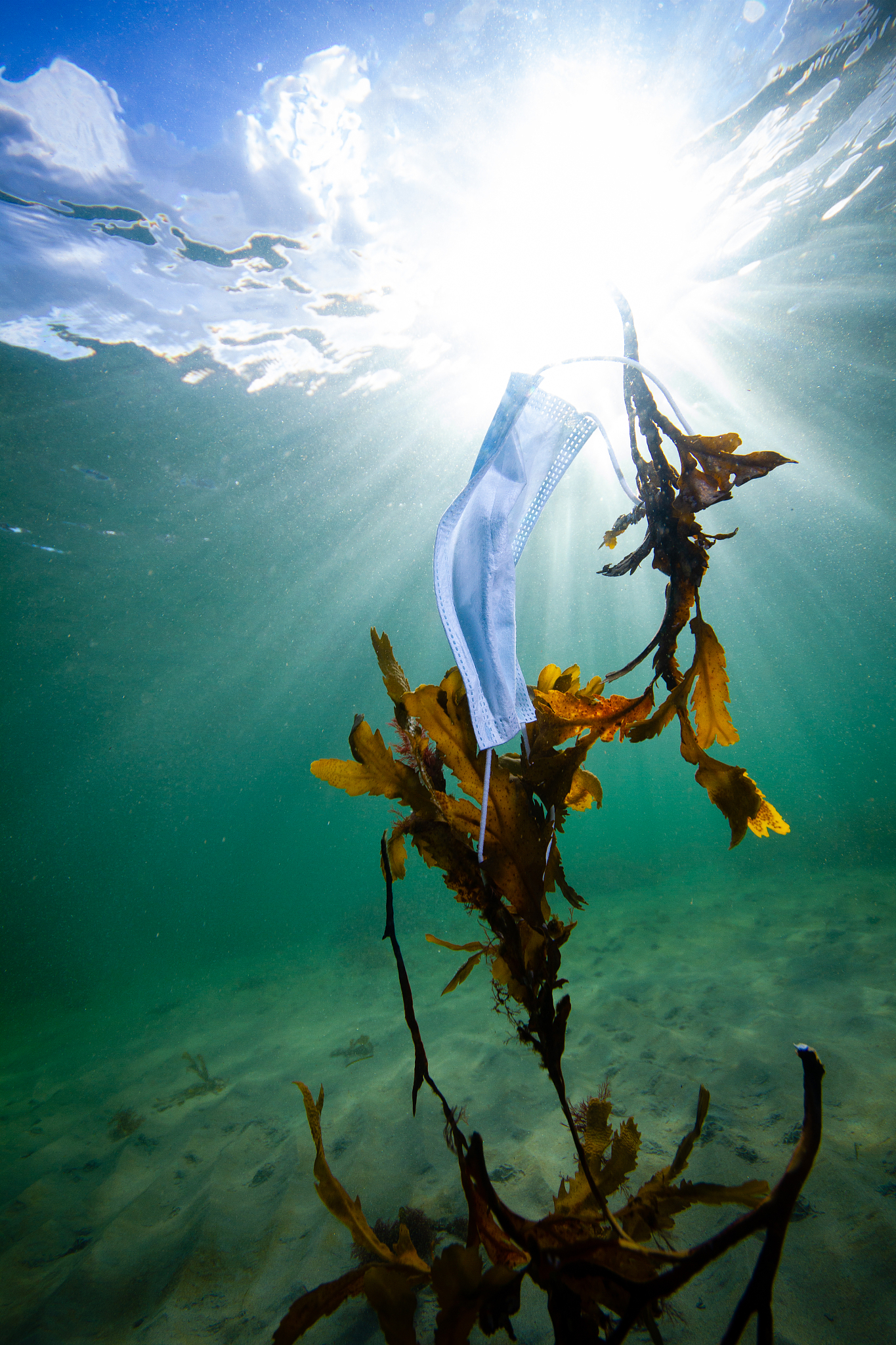 针对海洋垃圾的产品功能表