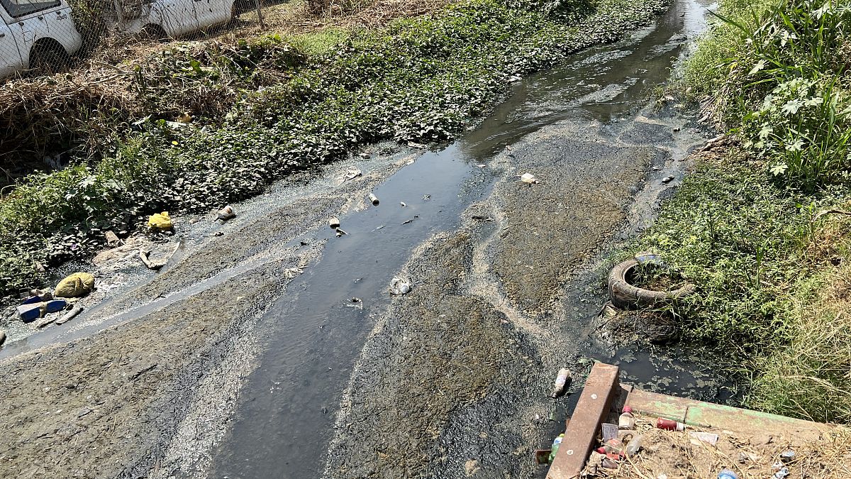玉林市生态环境局委托广西环科院我区配合对我市城市建成区入河排污口开展排查目前排查工作已全面完成。《玉林市城市建成区入河排污口排查报告》已经市人民政府审定通过并转发各有关单位。根据报告反映共排查出玉林市城市建成区玉州区范围入河排水口159个其中生活排污口为79个重点整治的入河生活排污口为60个。现已截流生活污水排污口为25个其中3个为全截流22个为半截流余下35个排污口未采取任何治理措施。建成区内生