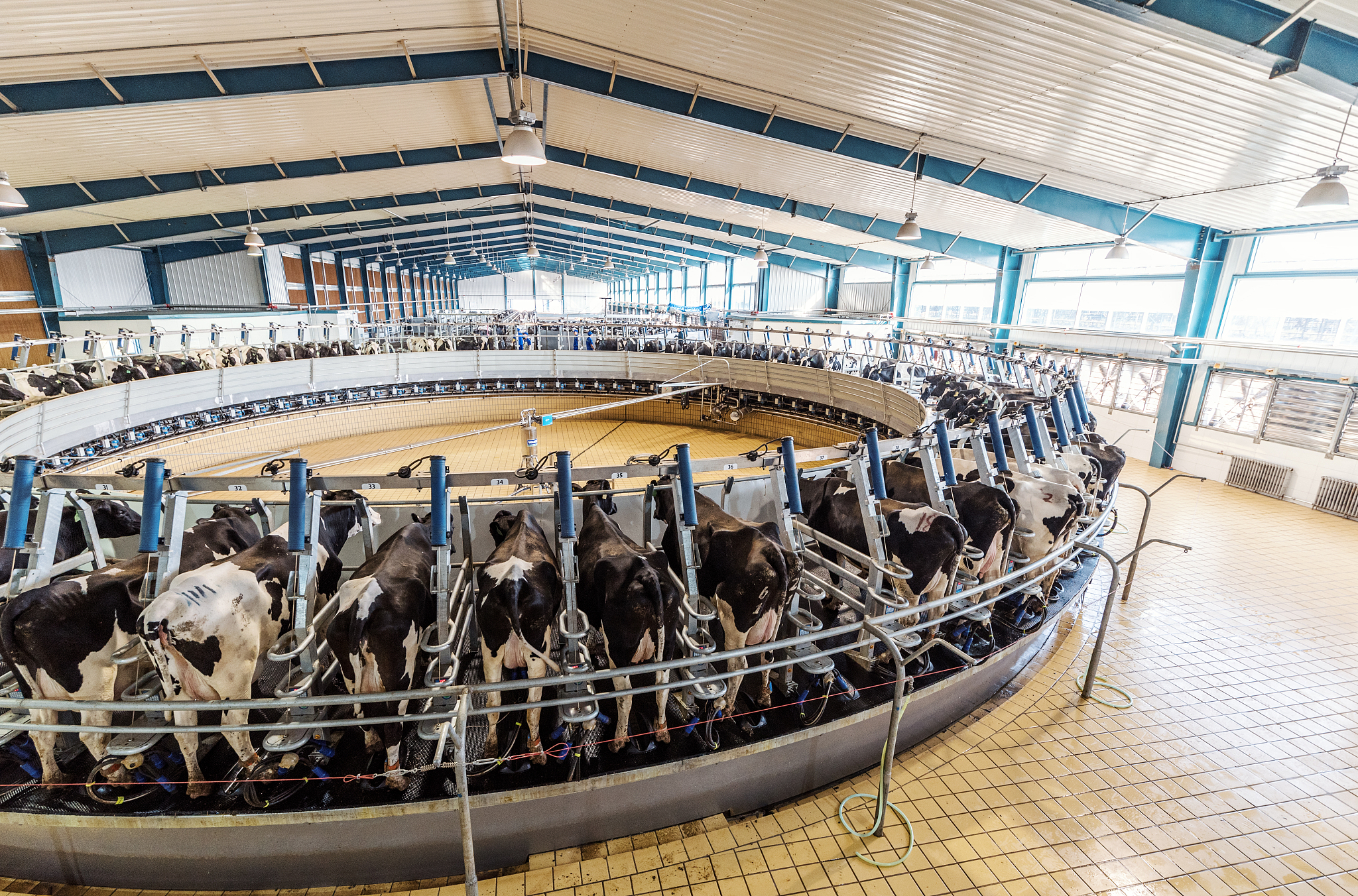 经济技术开发区肉牛产业及产品延伸有哪些？