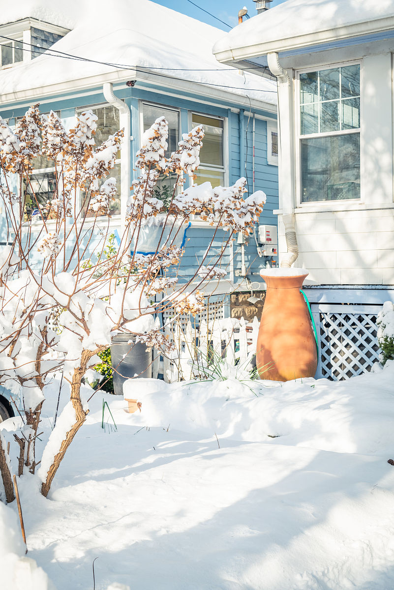 ❄️ 冬日美好的一天，我的小红书日记！