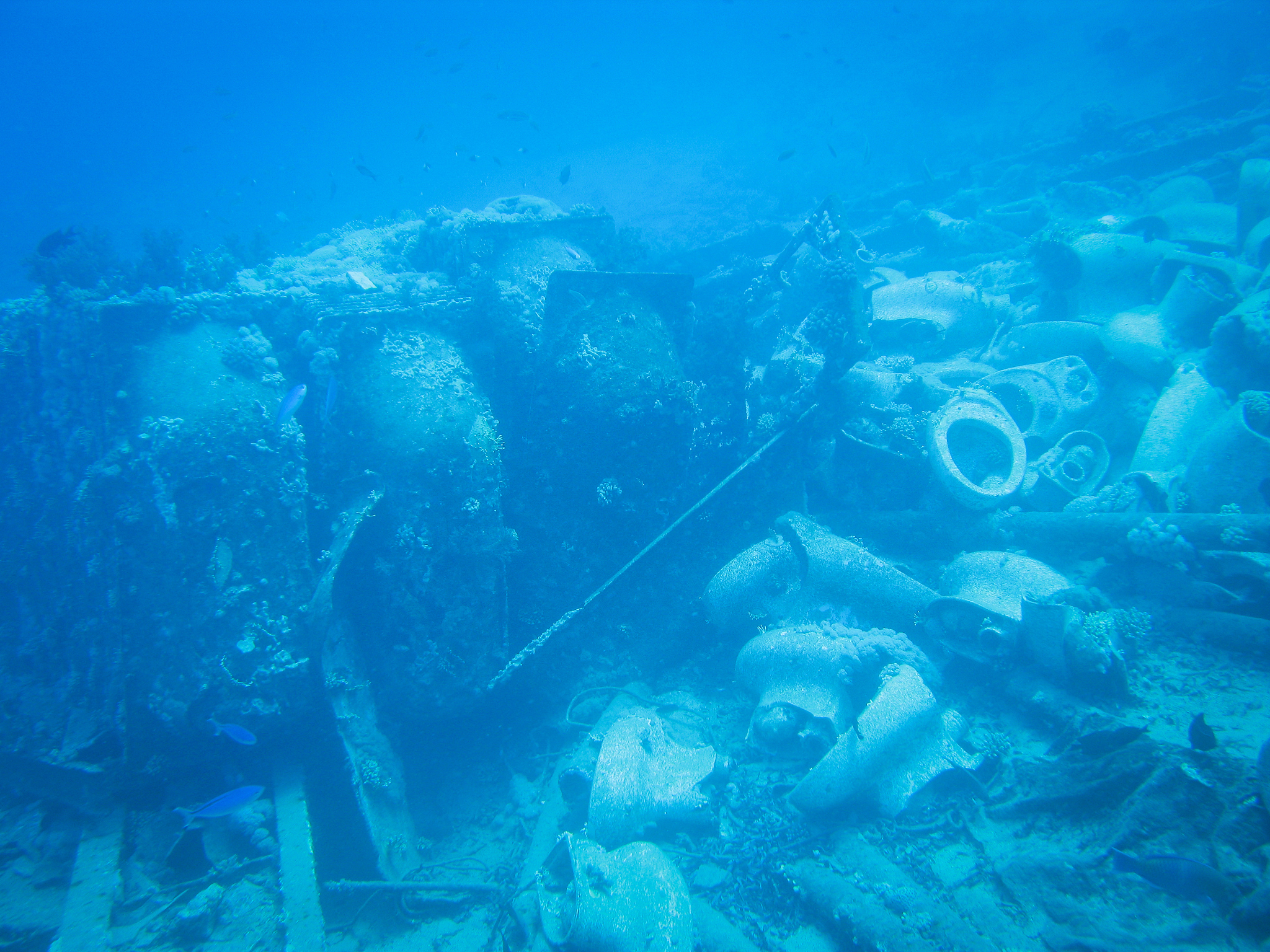 underwater scenes