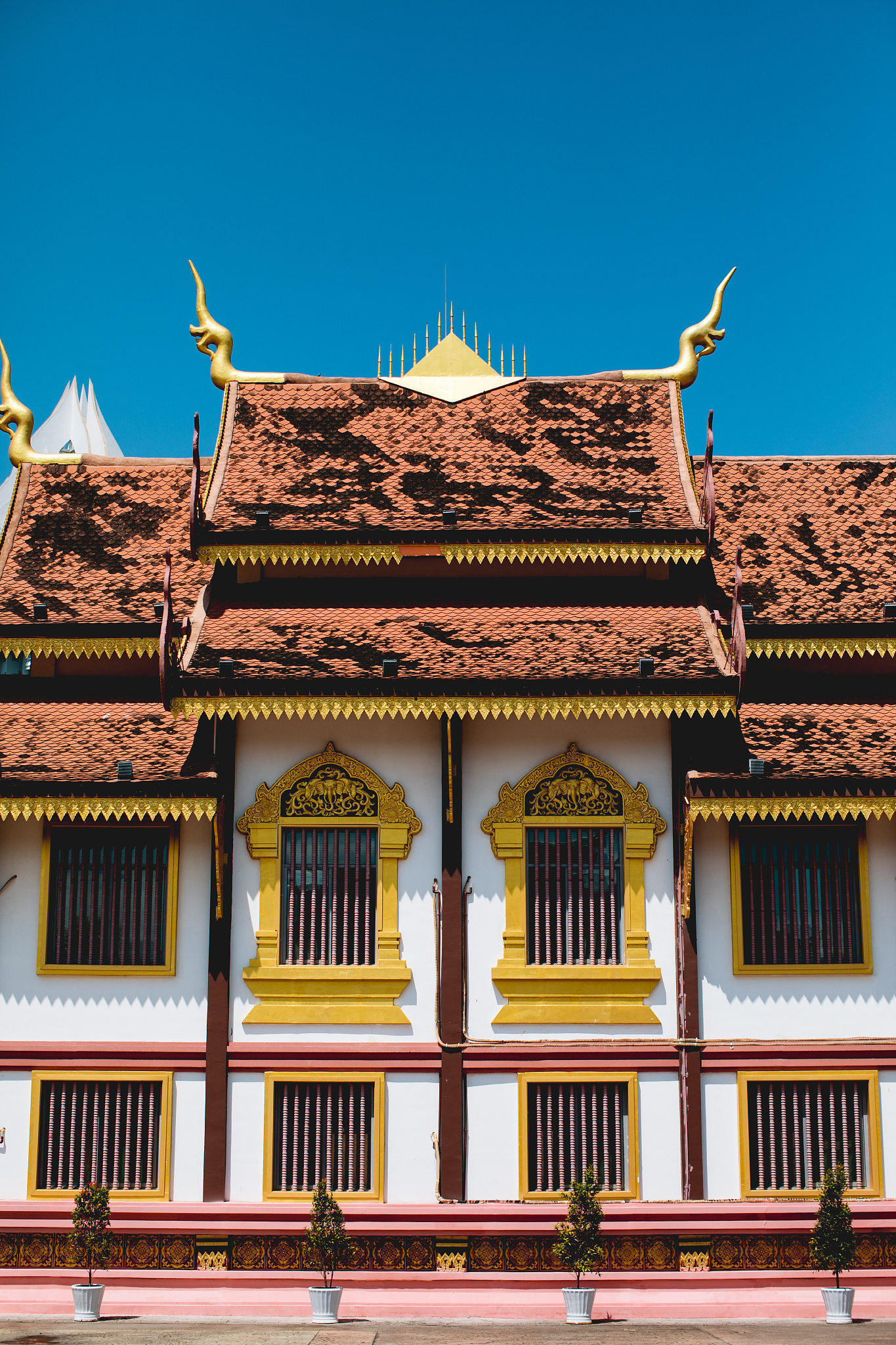 西双版纳到三亚没有动车只能从西双版纳坐动车到湛江从湛江坐船到三亚三亚现在和内陆还没有通高铁帮我用200字详细描述