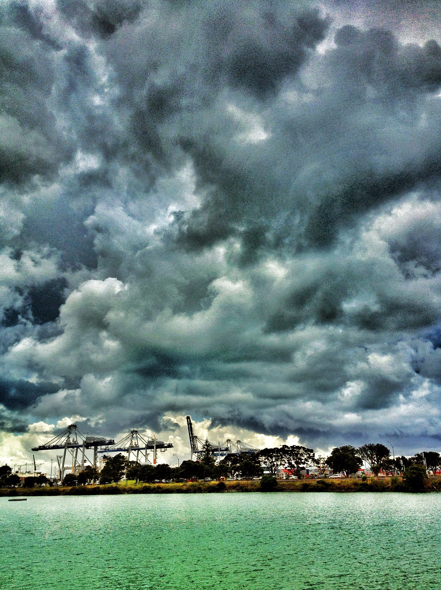 奥克兰气候特征