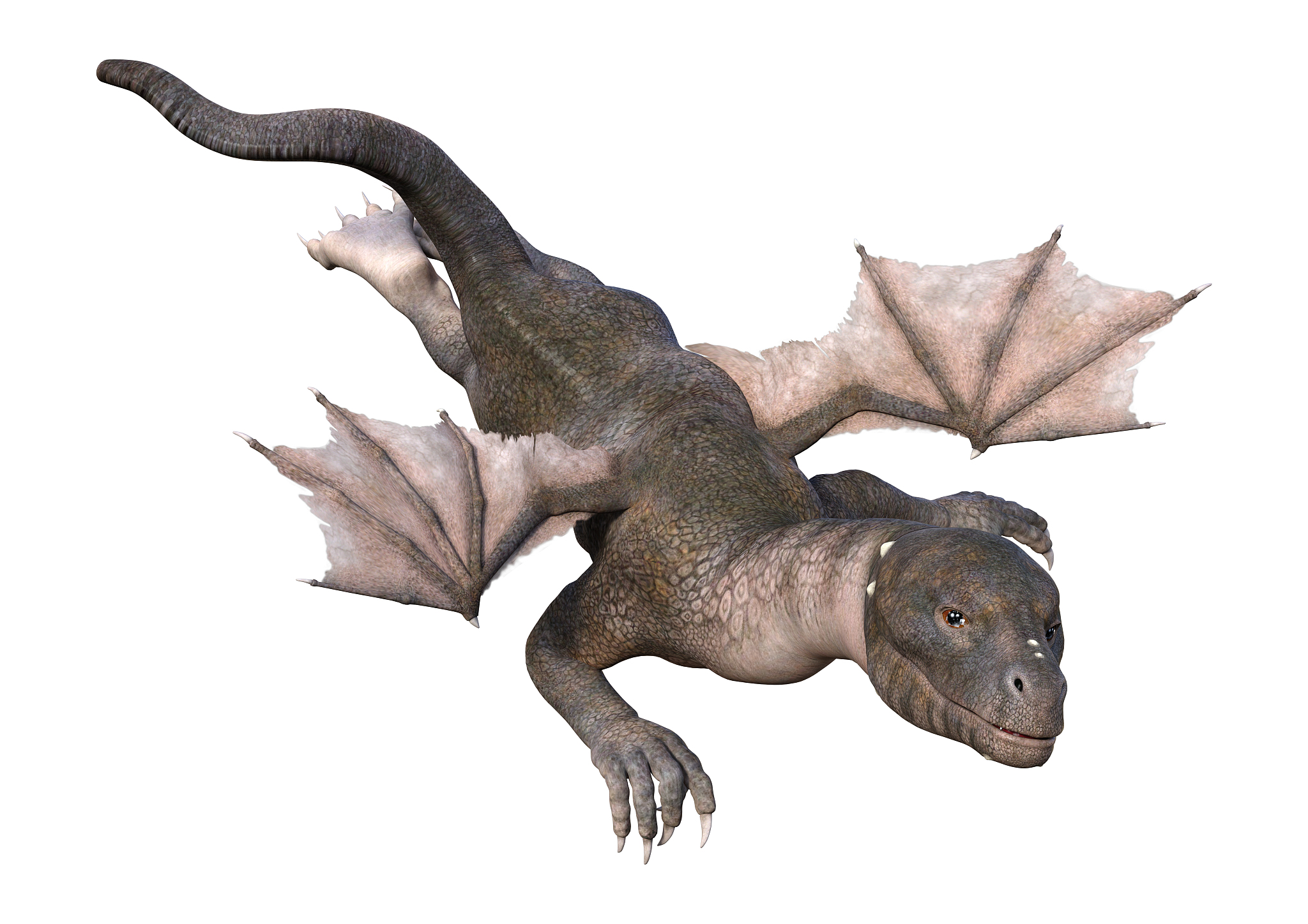 3d illustration fantasy dragon on white