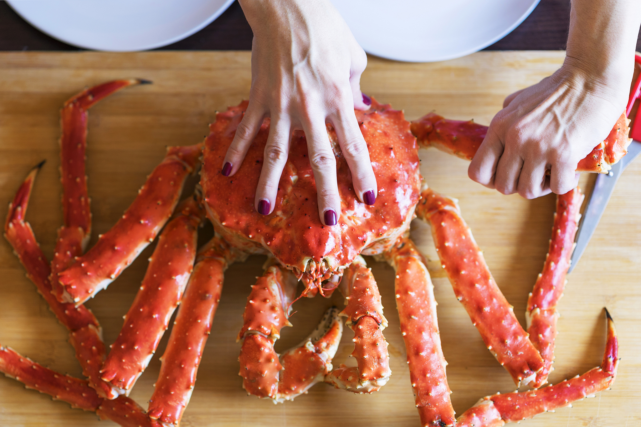 women's hands is taking leg from big red cooked crab for food
