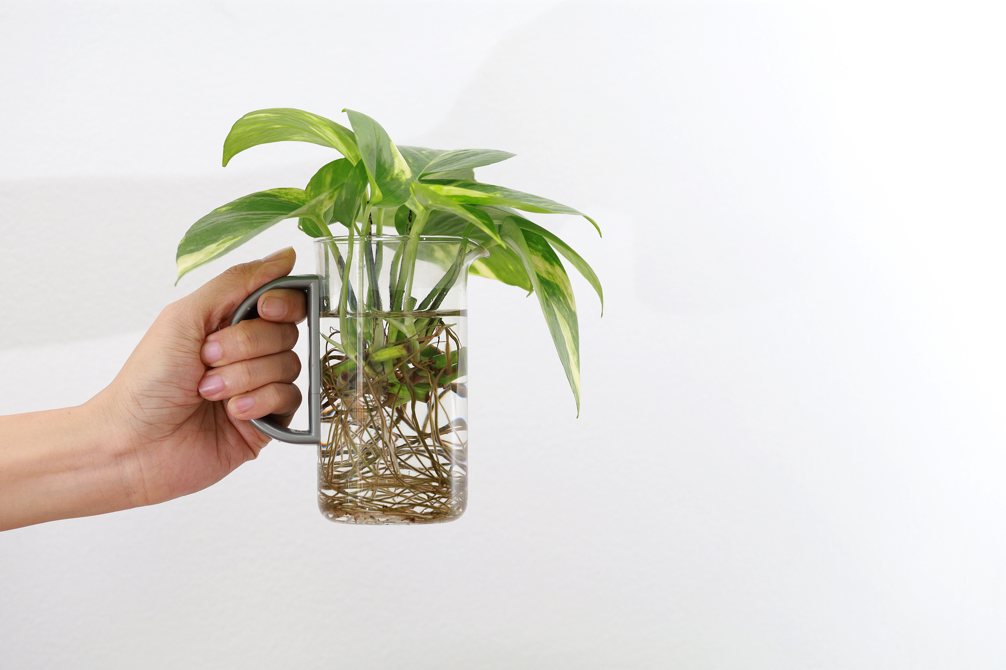 扬州大学专业有哪些？专业介绍