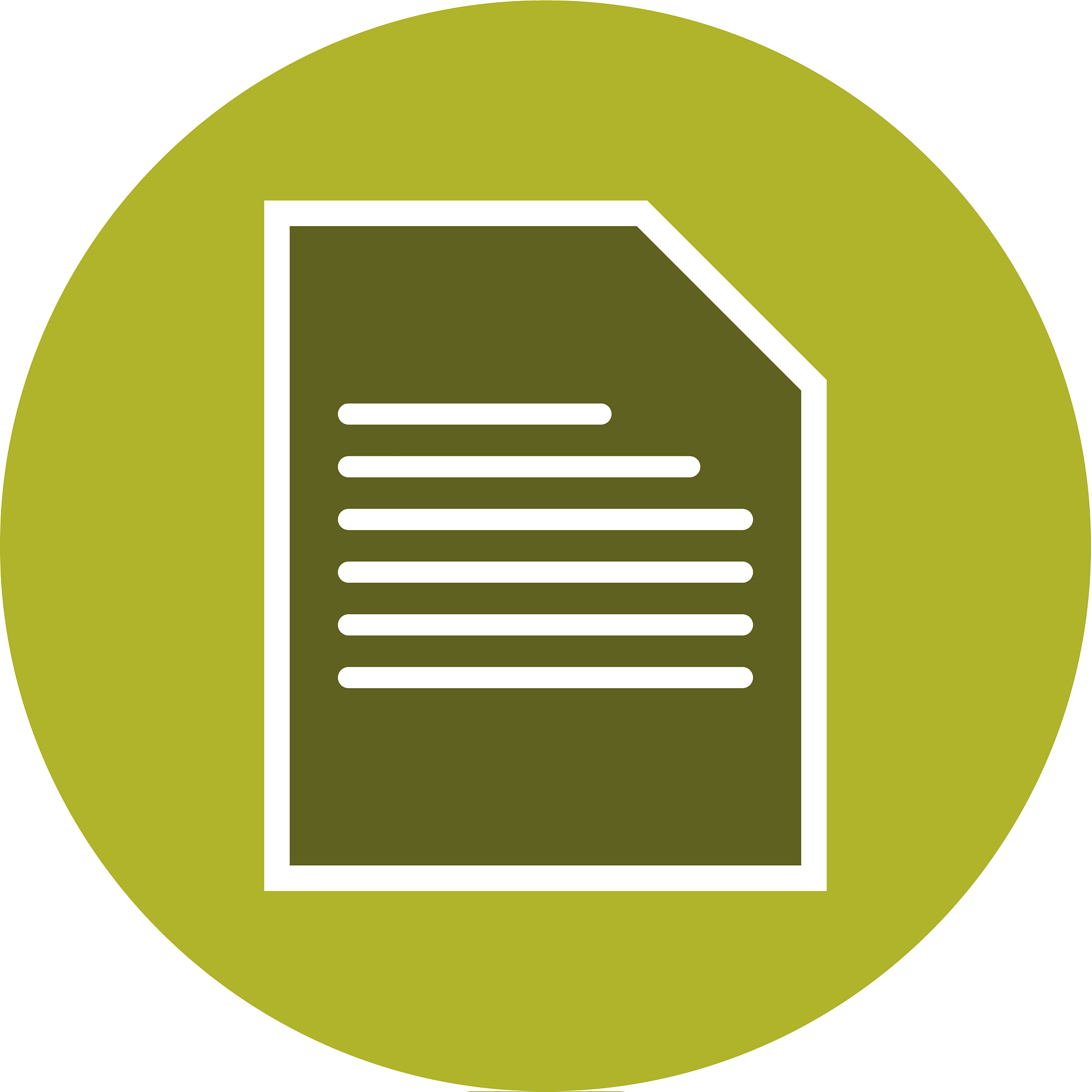 document icon