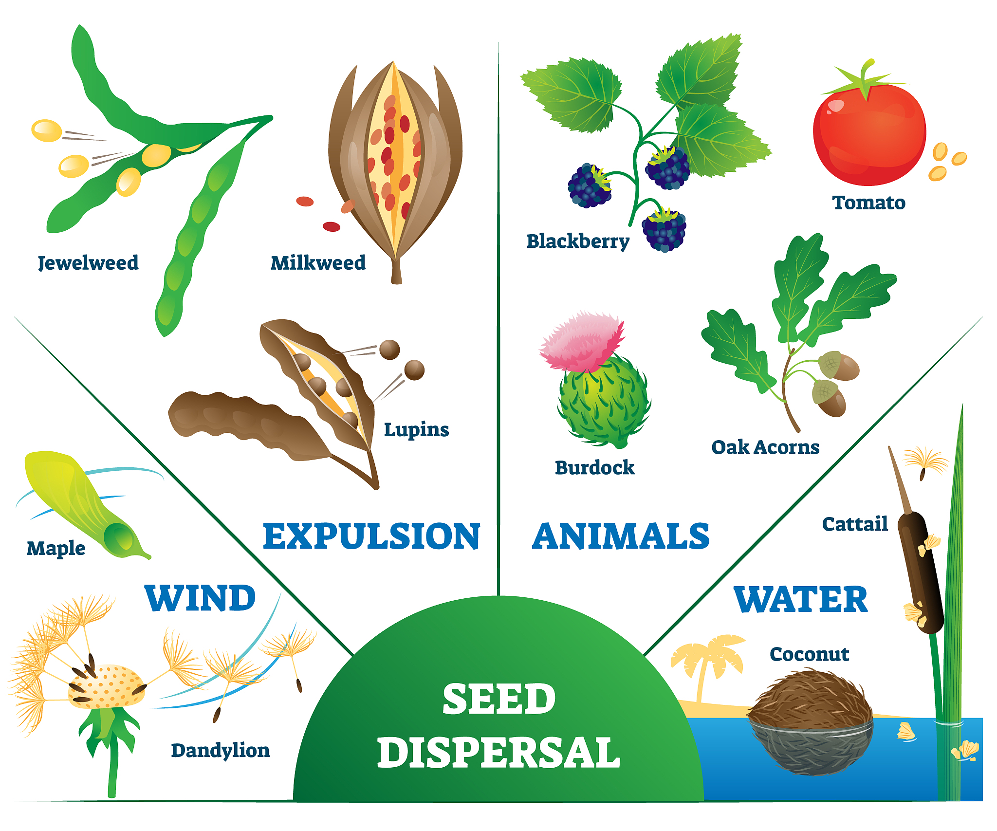 Where to Find Organic, Non-GMO & Wellness Products: A Friend's Recommendations