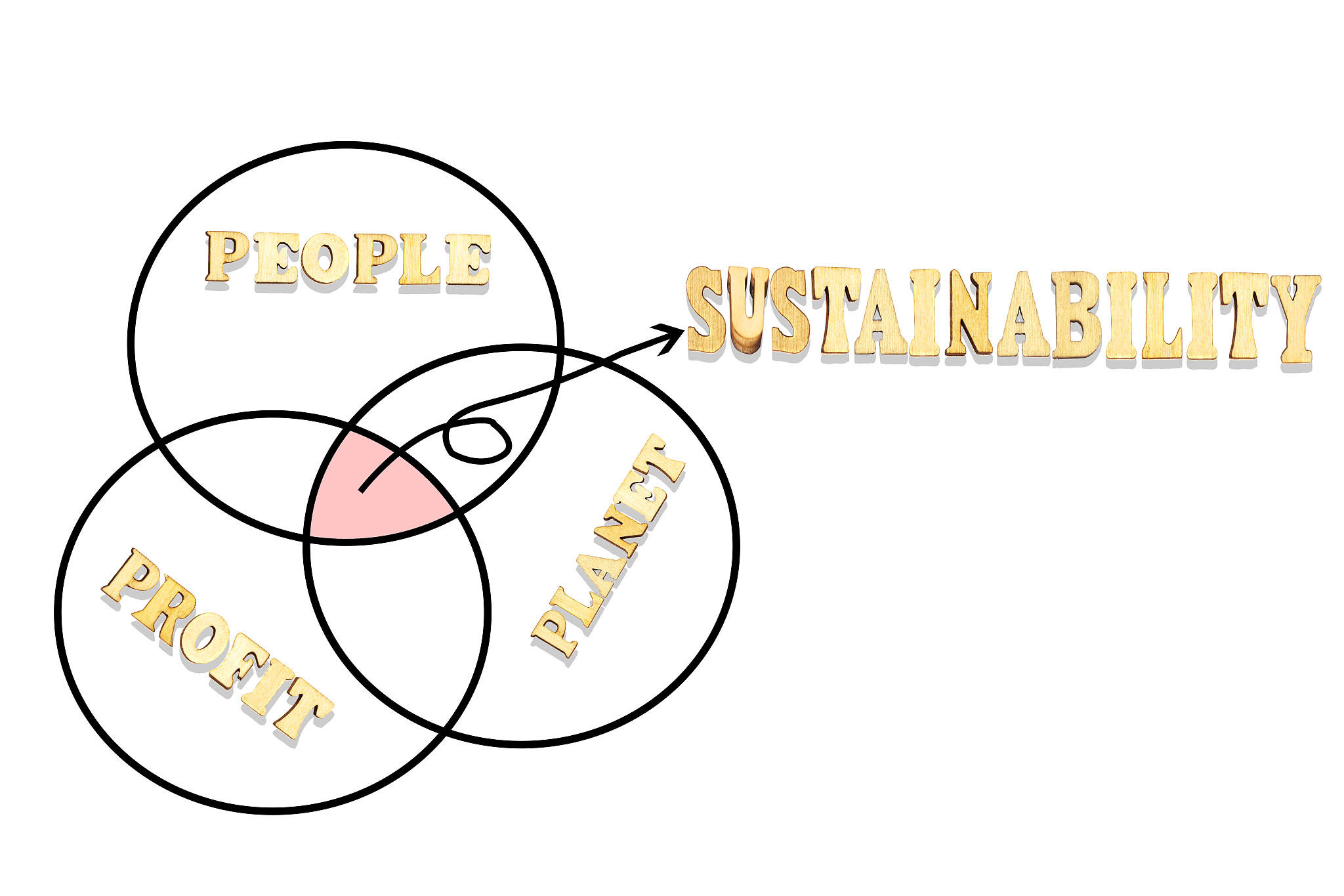 diagram of people, planet, profit to explain the intersection of