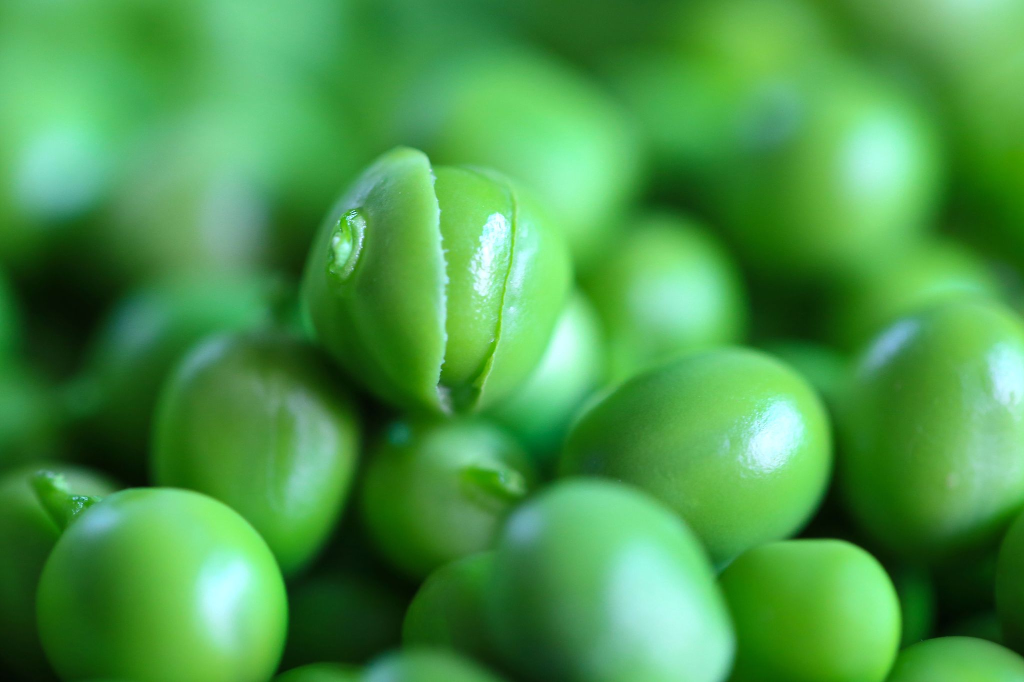 多少颗豌豆够50克，