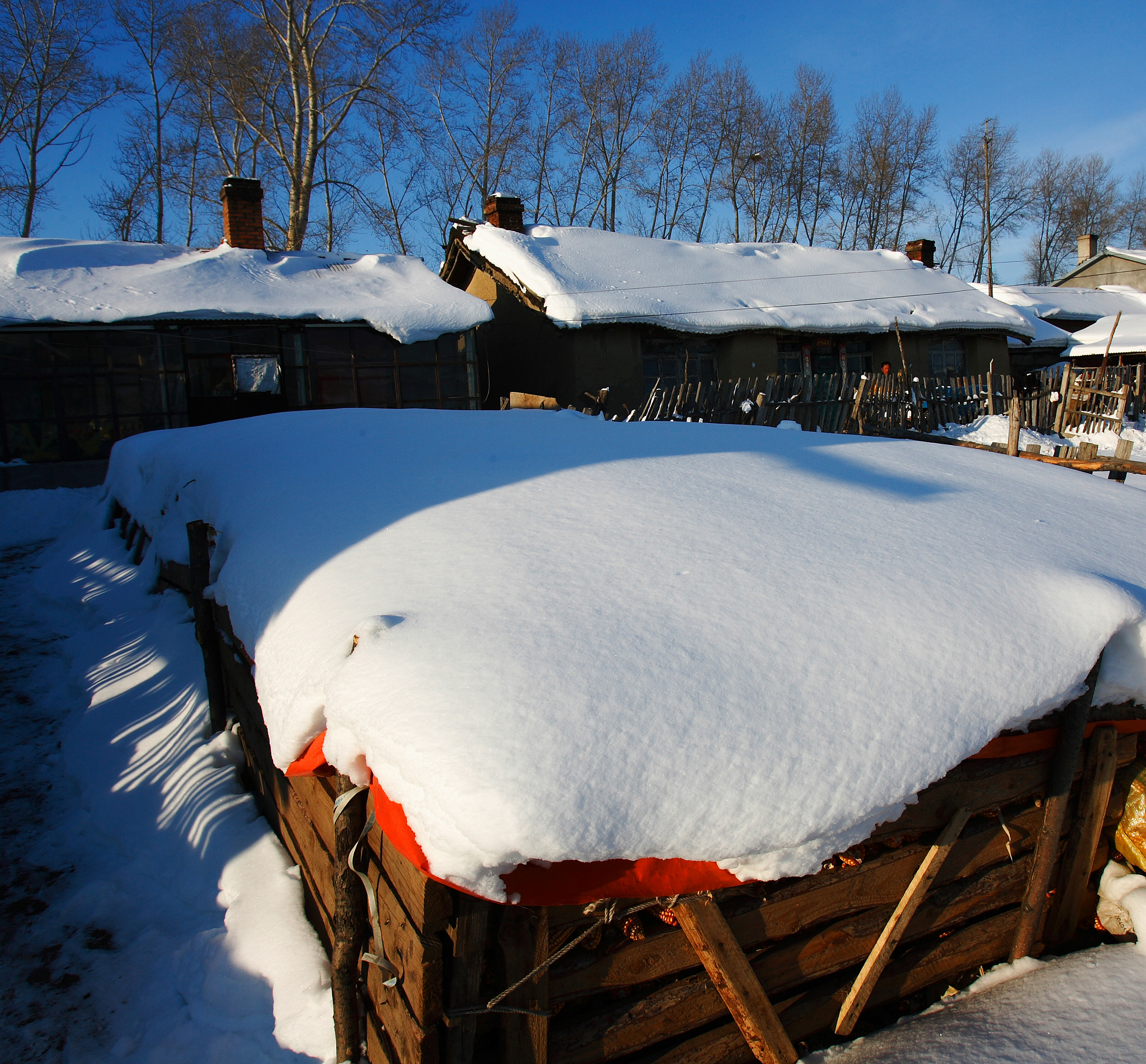 黑龙江的媒体曝光平台有哪些 黑龙江媒体曝光求助热线是多少 要求：创建一篇500至1000字的解决方案