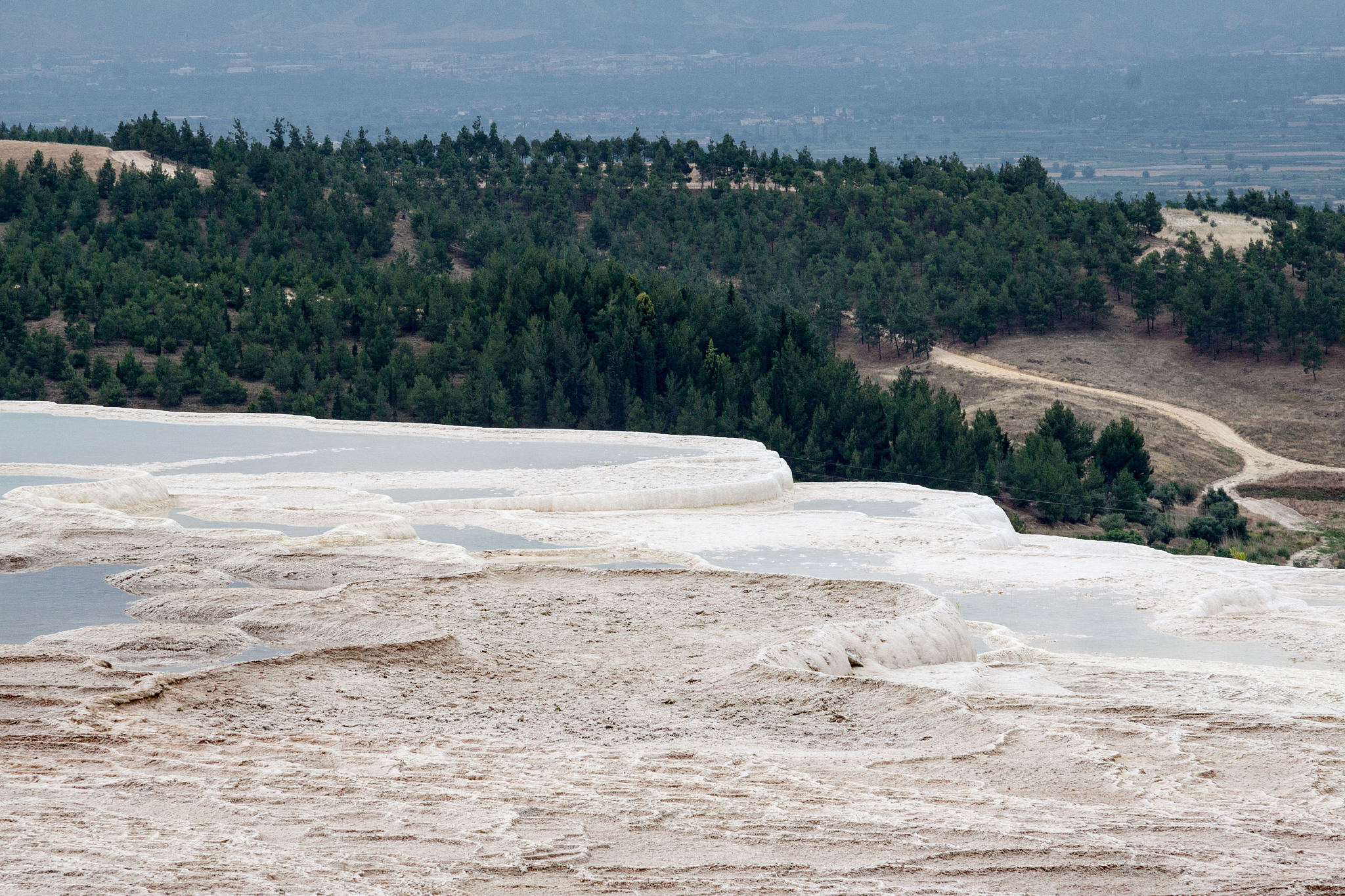沈阳体育学院旅游管理专业如何