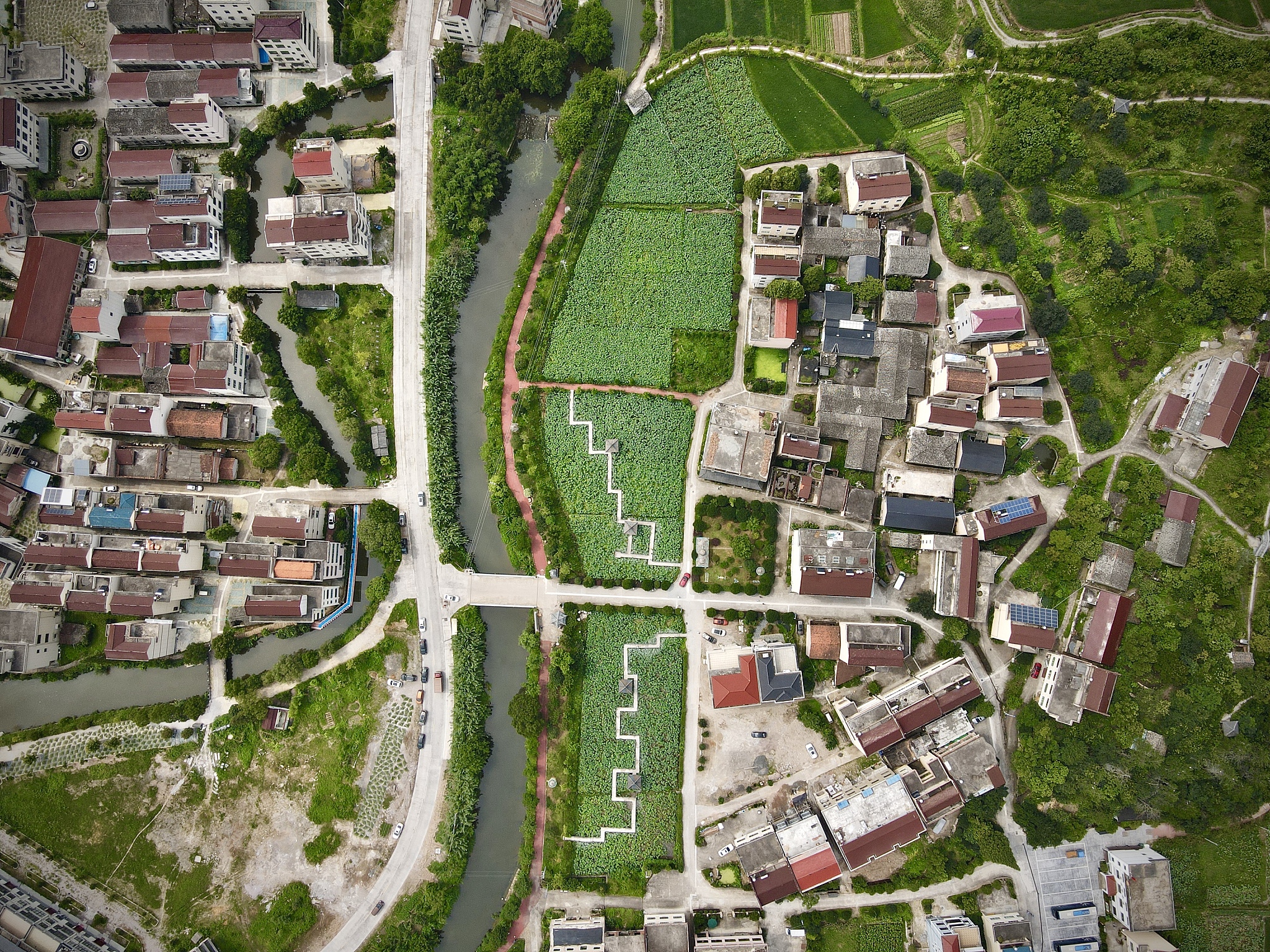 集聚发展类村庄规划要求