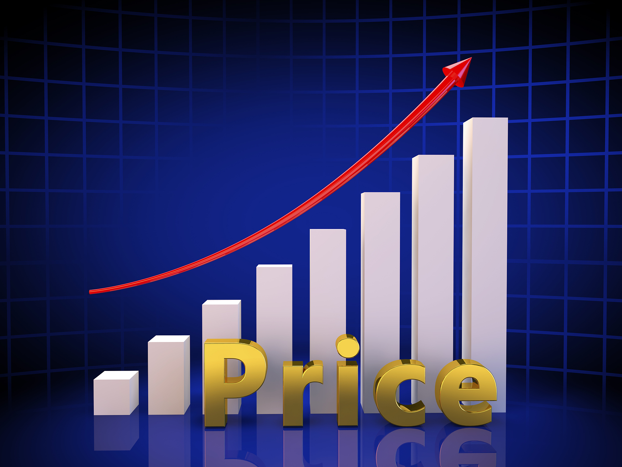 对不同的投资风格进行总结和判断