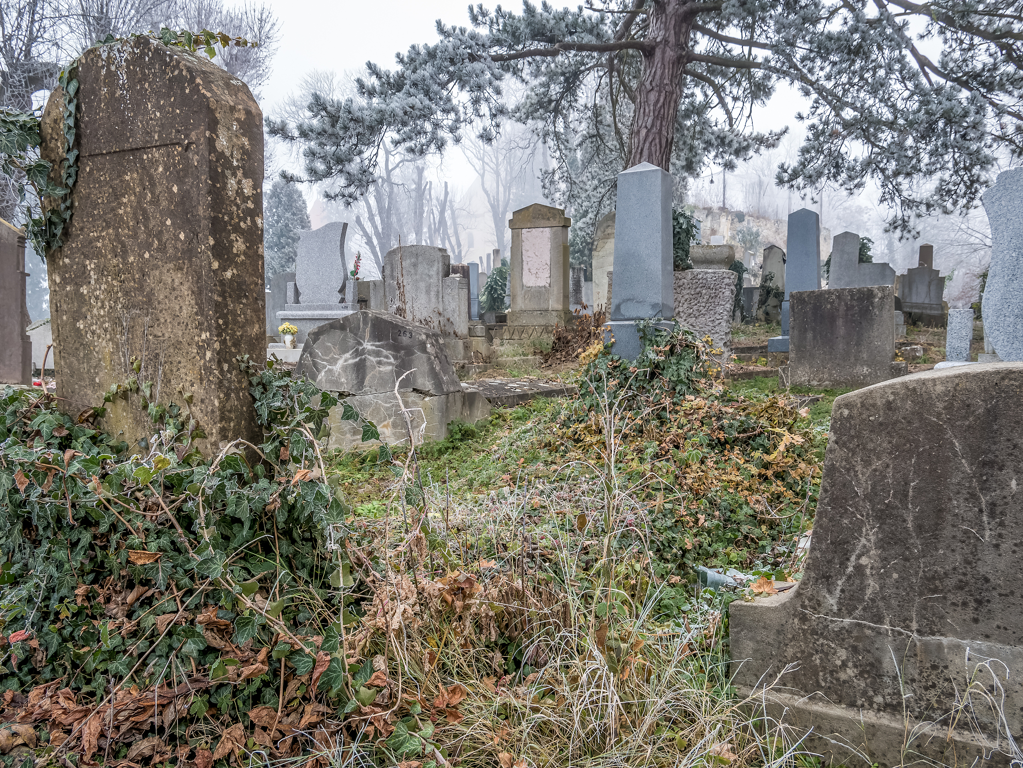 How to Say '坟墓' in English: 'Tomb' vs 'Grave'