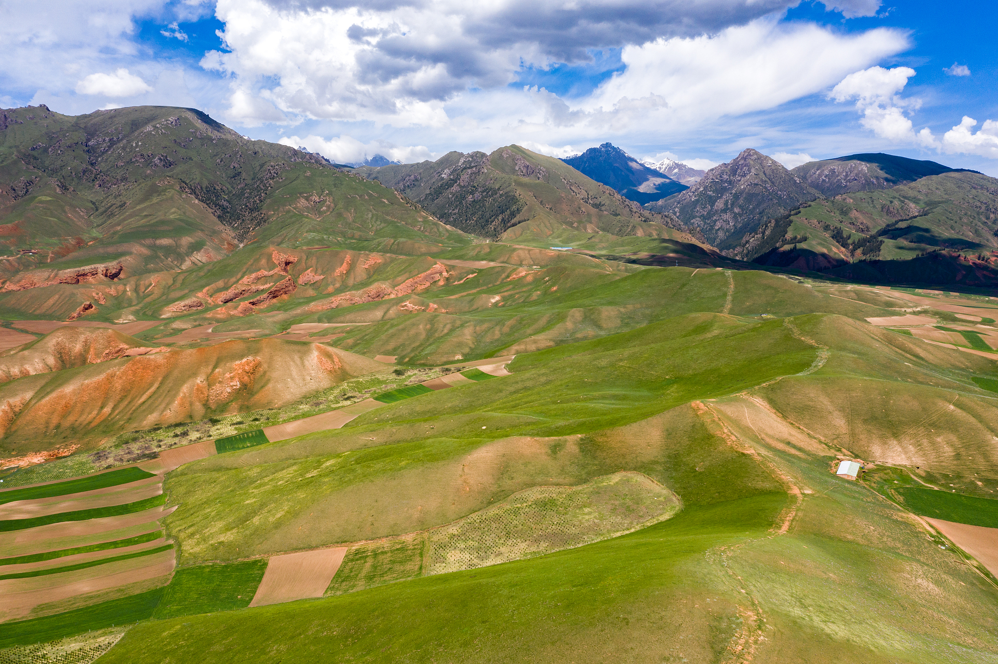 qinghai qilian zall mountain