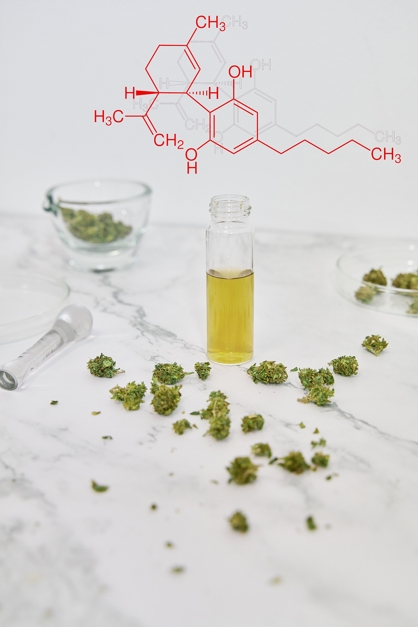 多酚水提物：天然植物提取物，多种健康益处