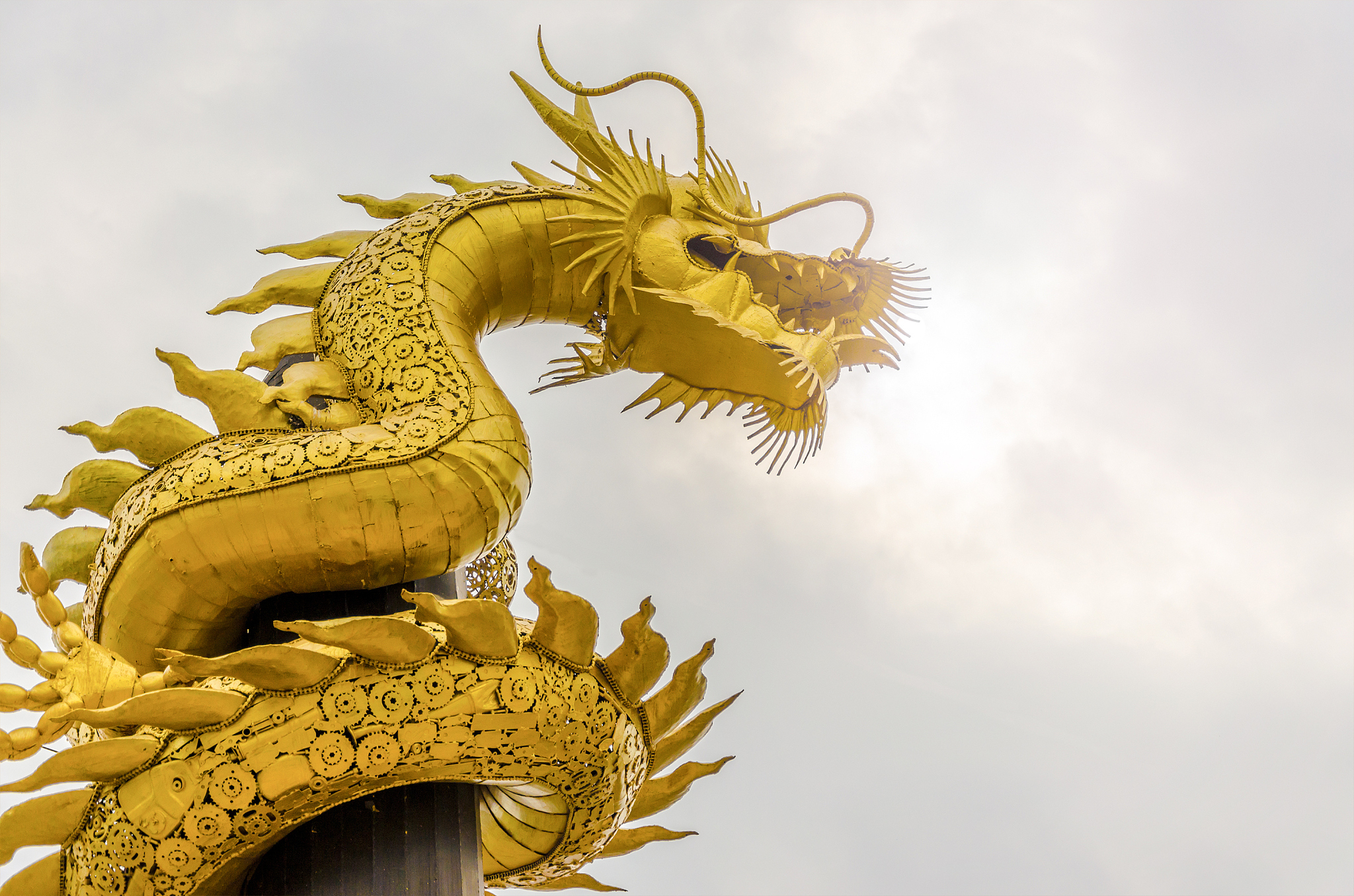 golden chinese dragon on the ploe