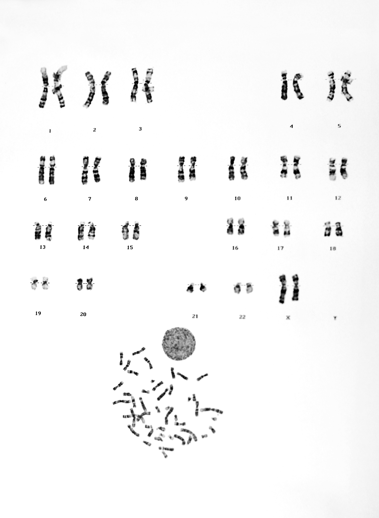 小学六年级语文《表里的生物》教学反思 - 深入浅出，激发学习兴趣