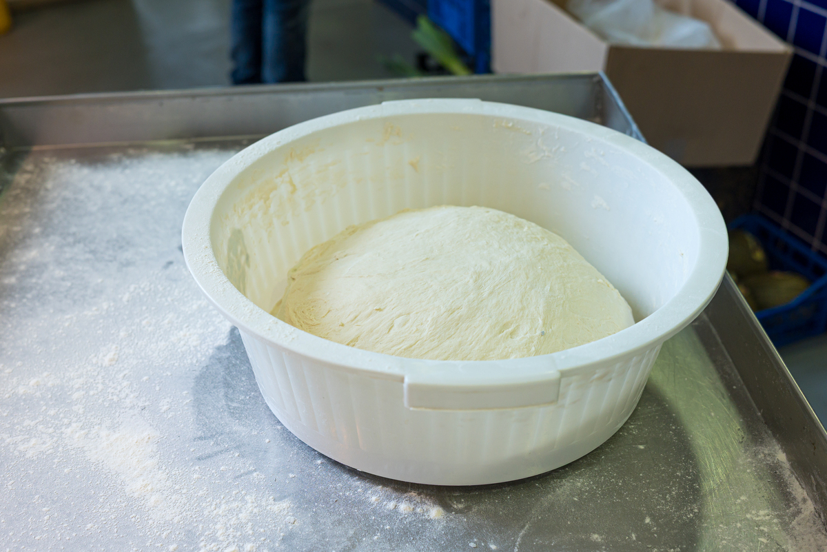 一斤面粉用多少酵母？今晚和面冷藏明天早上用！