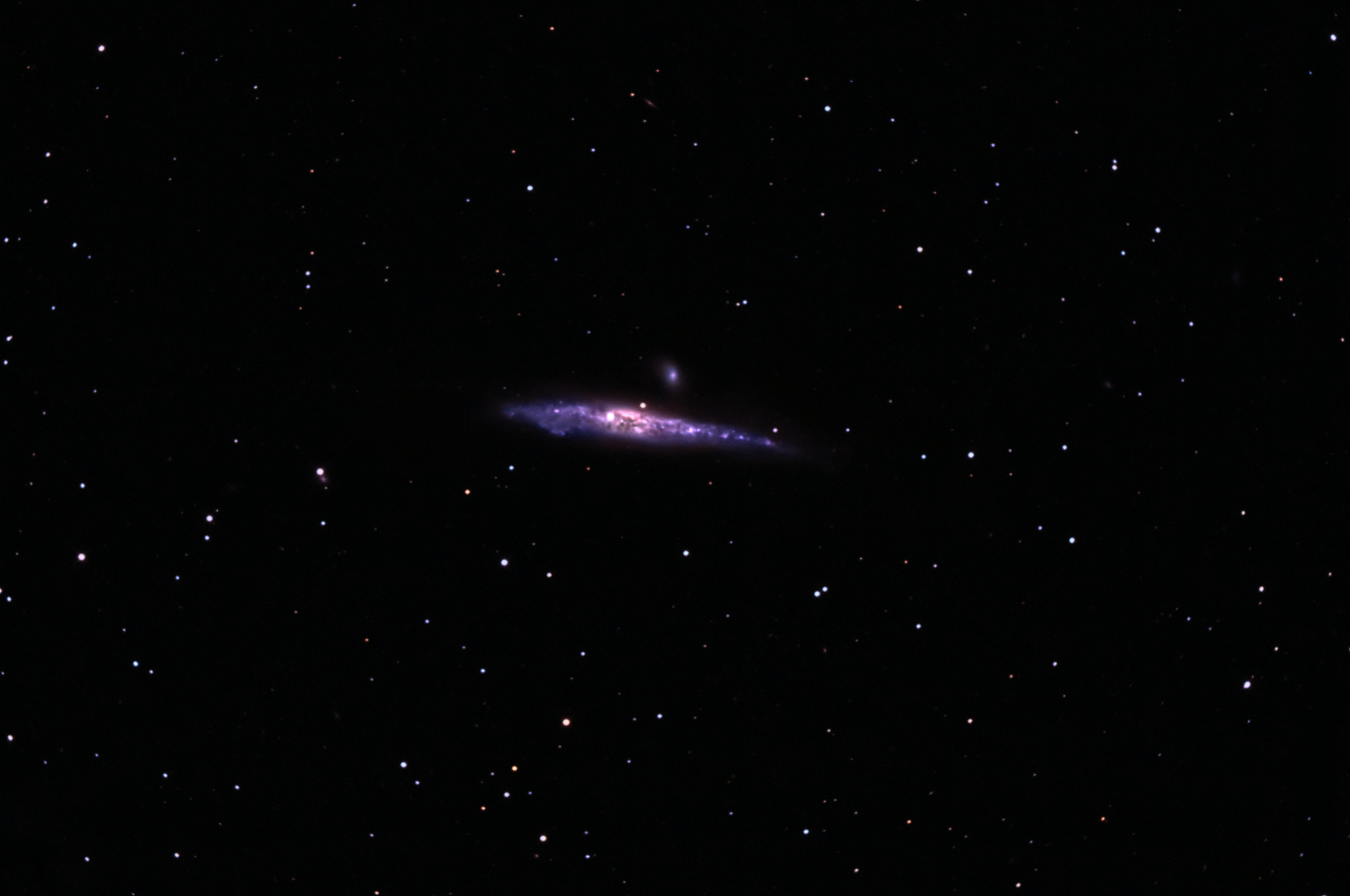 whale galaxy