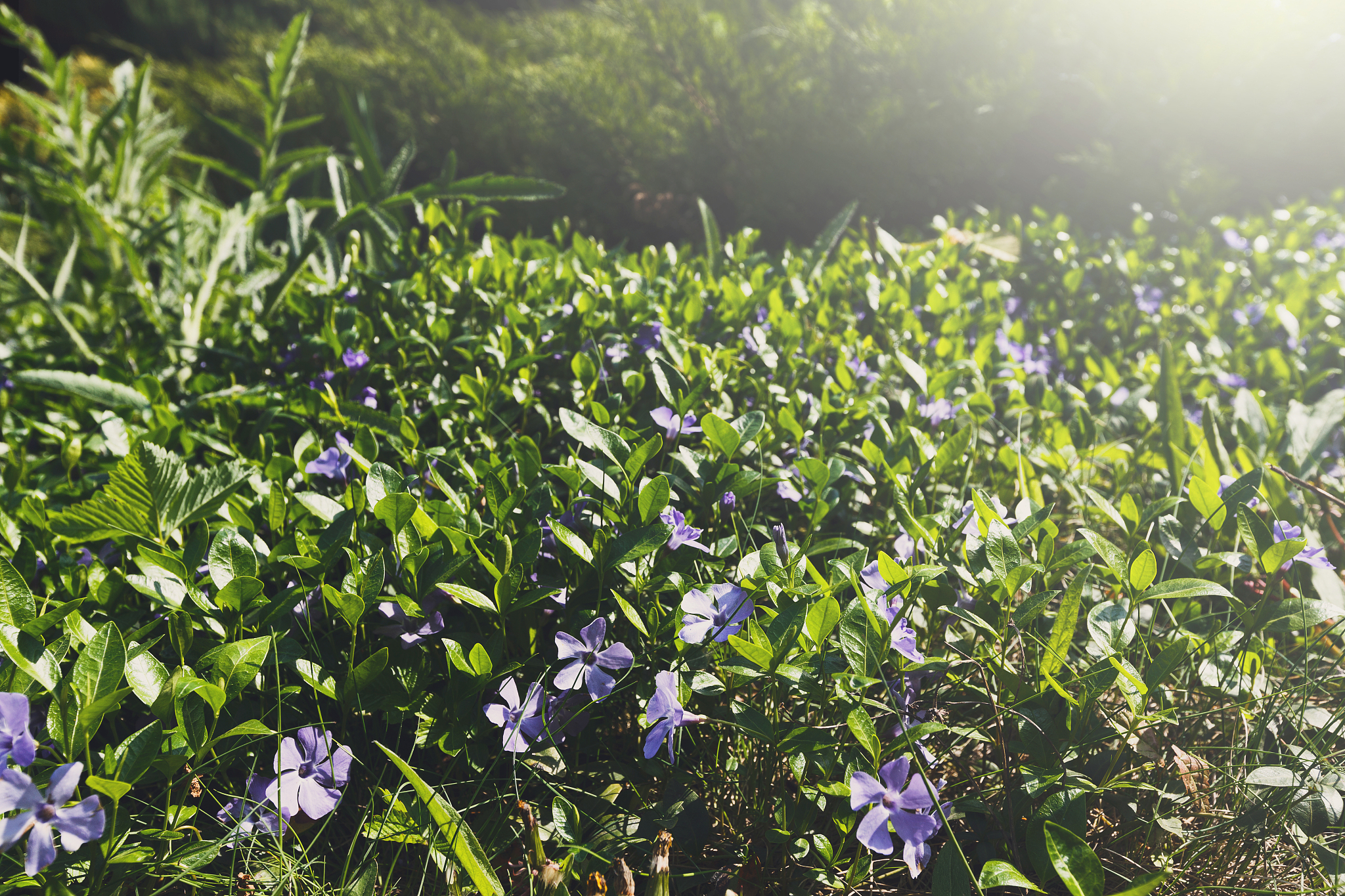 云南农业大学农业资源与环境专业怎么样？就业前景及师资力量解析