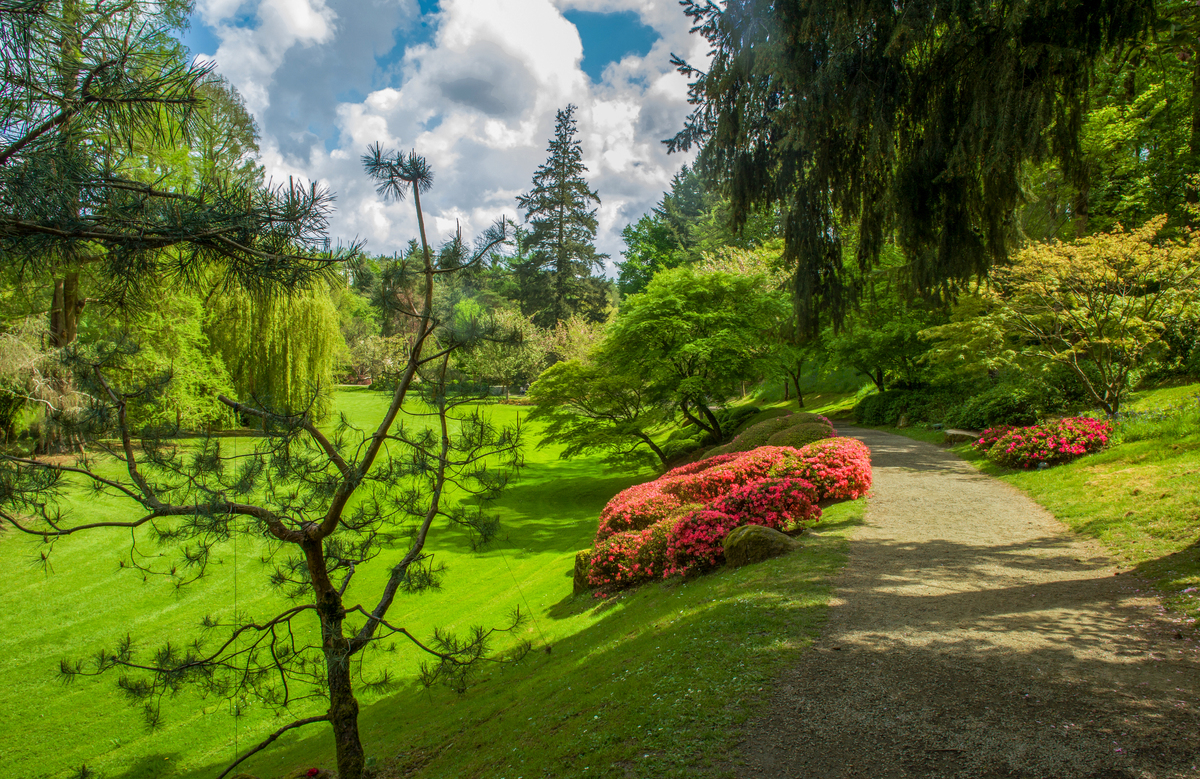 庭院绿茵一片背靠山